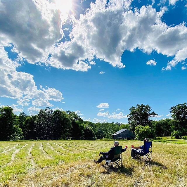 We have NEWS to announce, friends....The Blasty Bough &ldquo;Beer Field&rdquo; is officially open! We have always done things a little differently around here, and we are staying true to form. Here is how this works: You bring your own camp chair or 