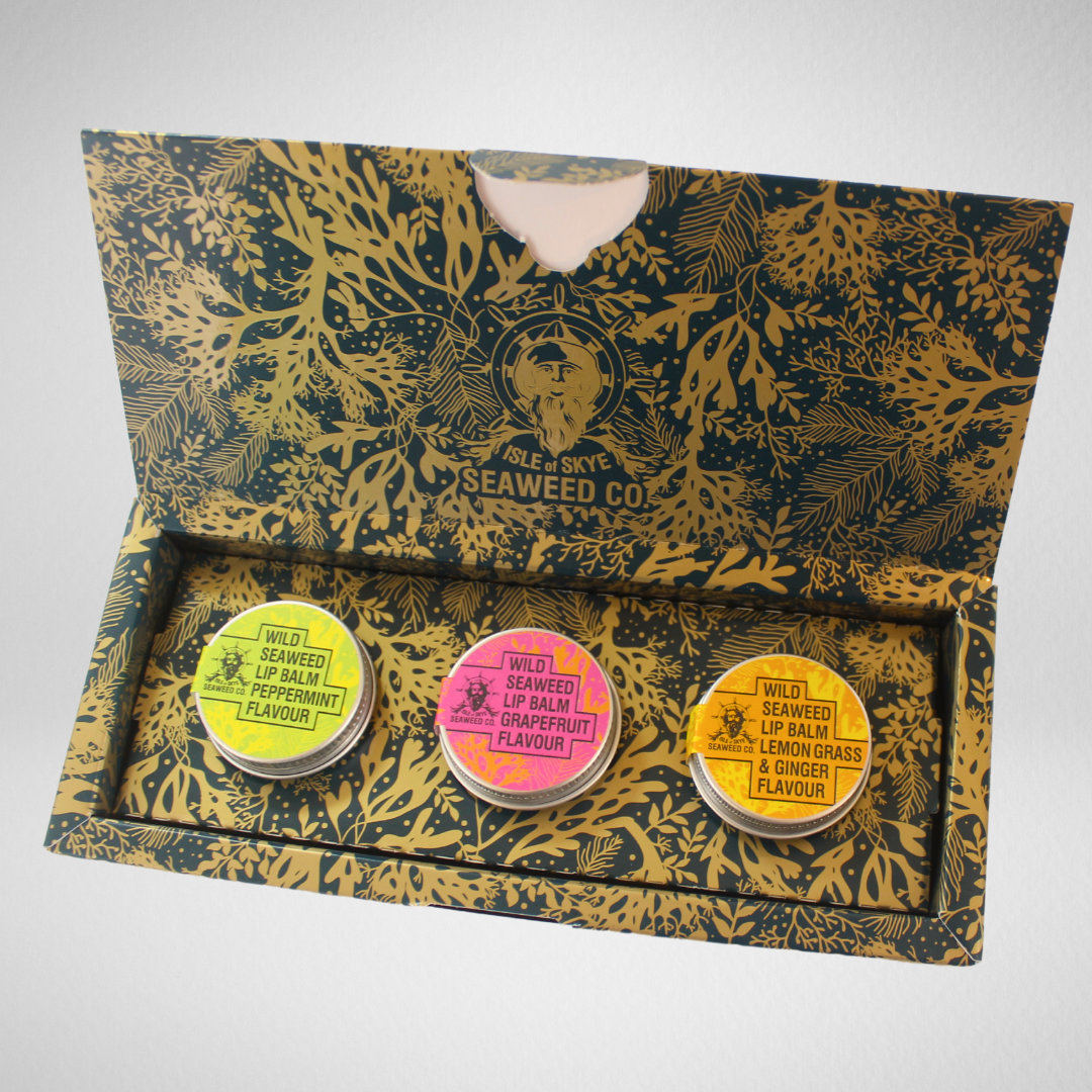 lip balm box open 2 .png