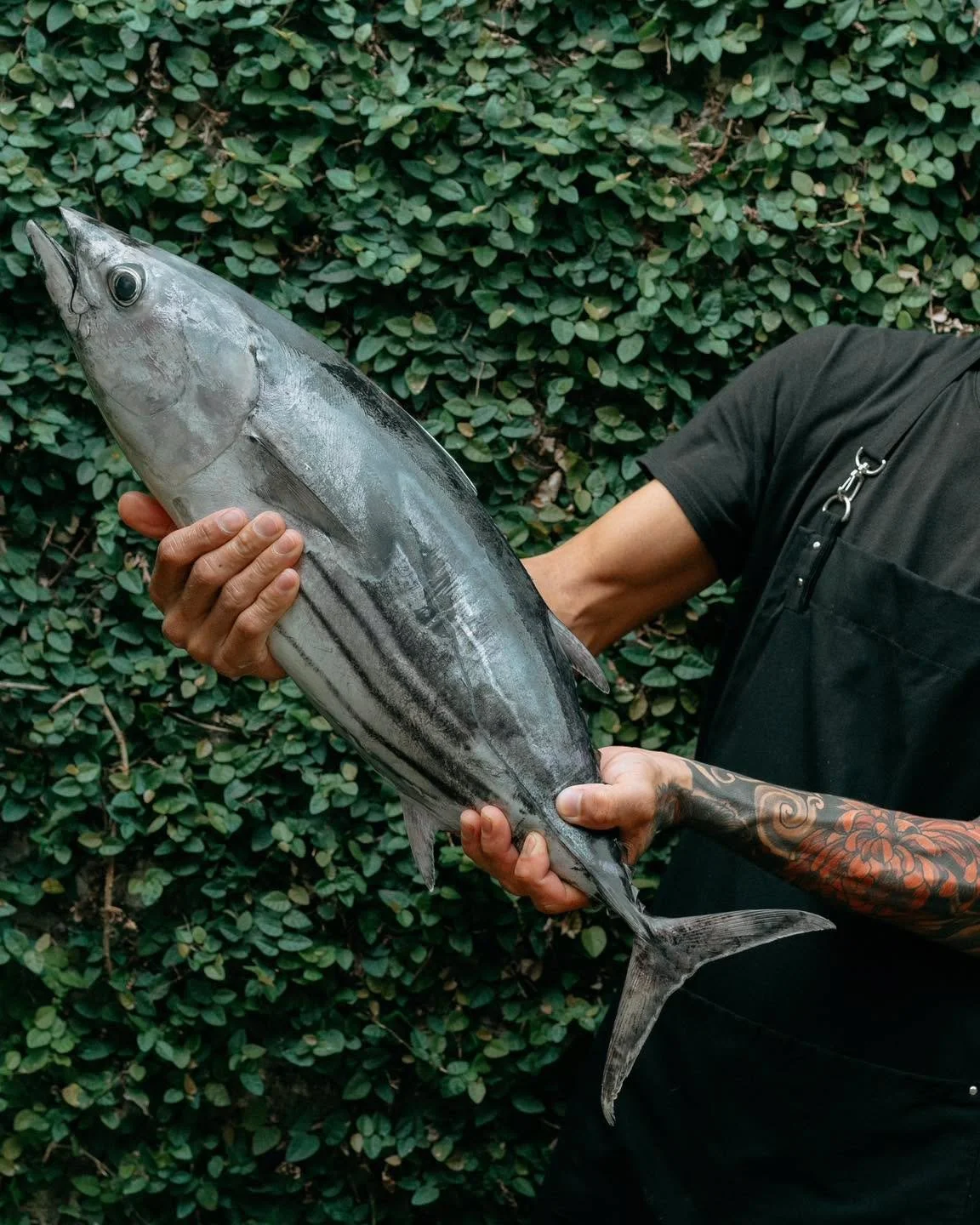 Catch of the day? More like catch of the vibe. 🎣😎 Fresh, bold, and ready to hit the grill!

&mdash;
𝐨𝐩𝐞𝐧 𝐝𝐚𝐢𝐥𝐲 𝟏𝟮 𝗽𝐦 𝐭𝐨 𝟏𝟎 𝐩𝐦

𝗥𝗘𝗦𝗘𝗥𝗩𝗔𝗧𝗜𝗢𝗡
Online: 𝐰𝐰𝐰.𝐥𝐢𝐚𝐩𝐥𝐢𝐚𝐩.𝐜𝐨𝐦
Call: +𝟲𝟮 𝟯𝟲𝟭 𝟵𝟬𝟴 𝟬𝟴𝟬𝟬
Whats