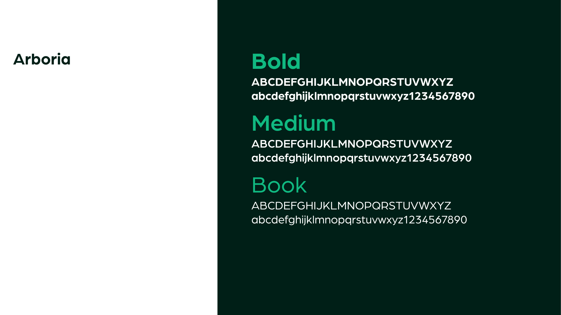 320 Typography_ Arboria.png