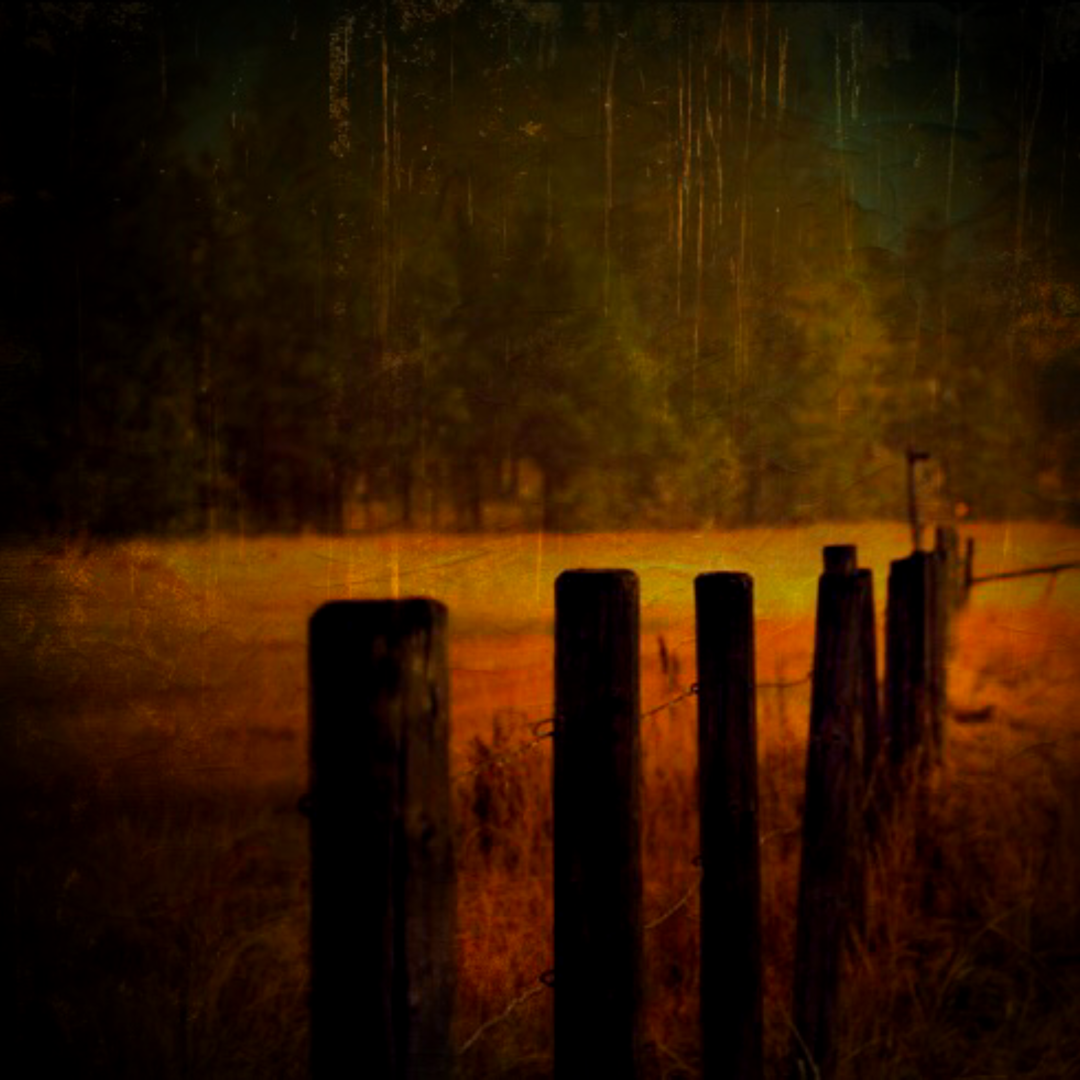 The Madison County Grey