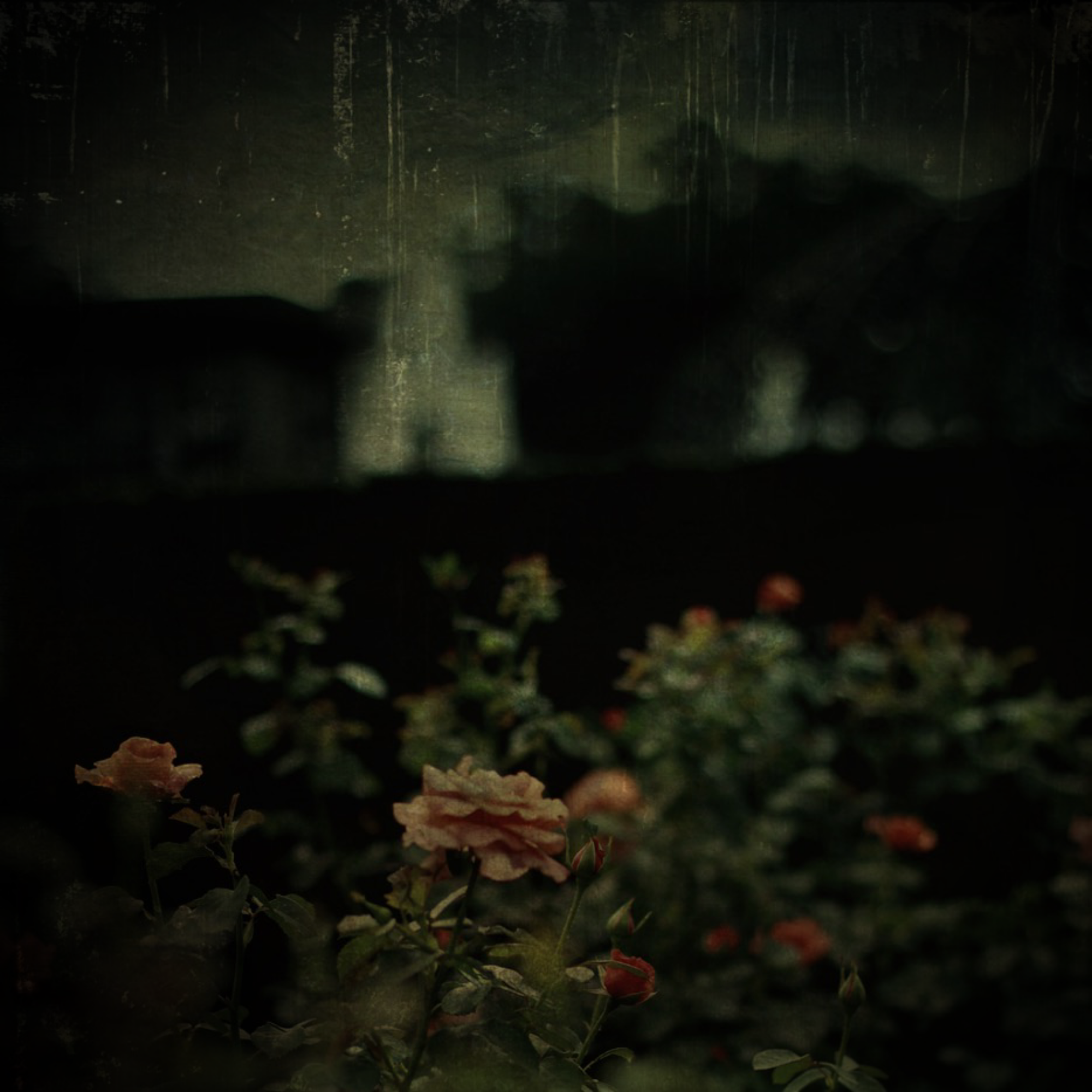 Skeleton of Longwood Mansion