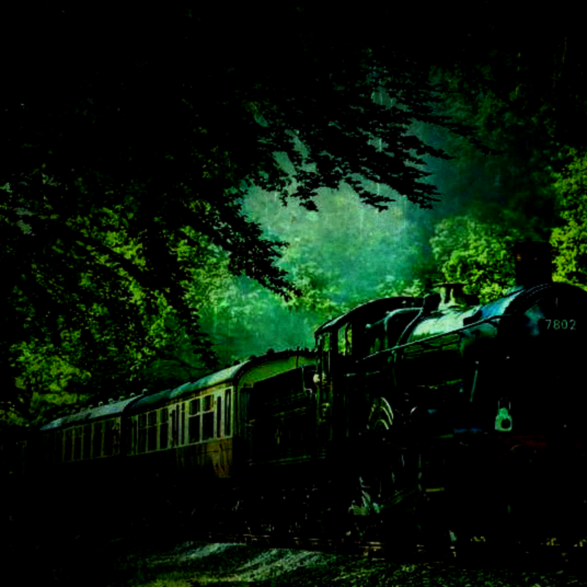 Lost Confederate Gold