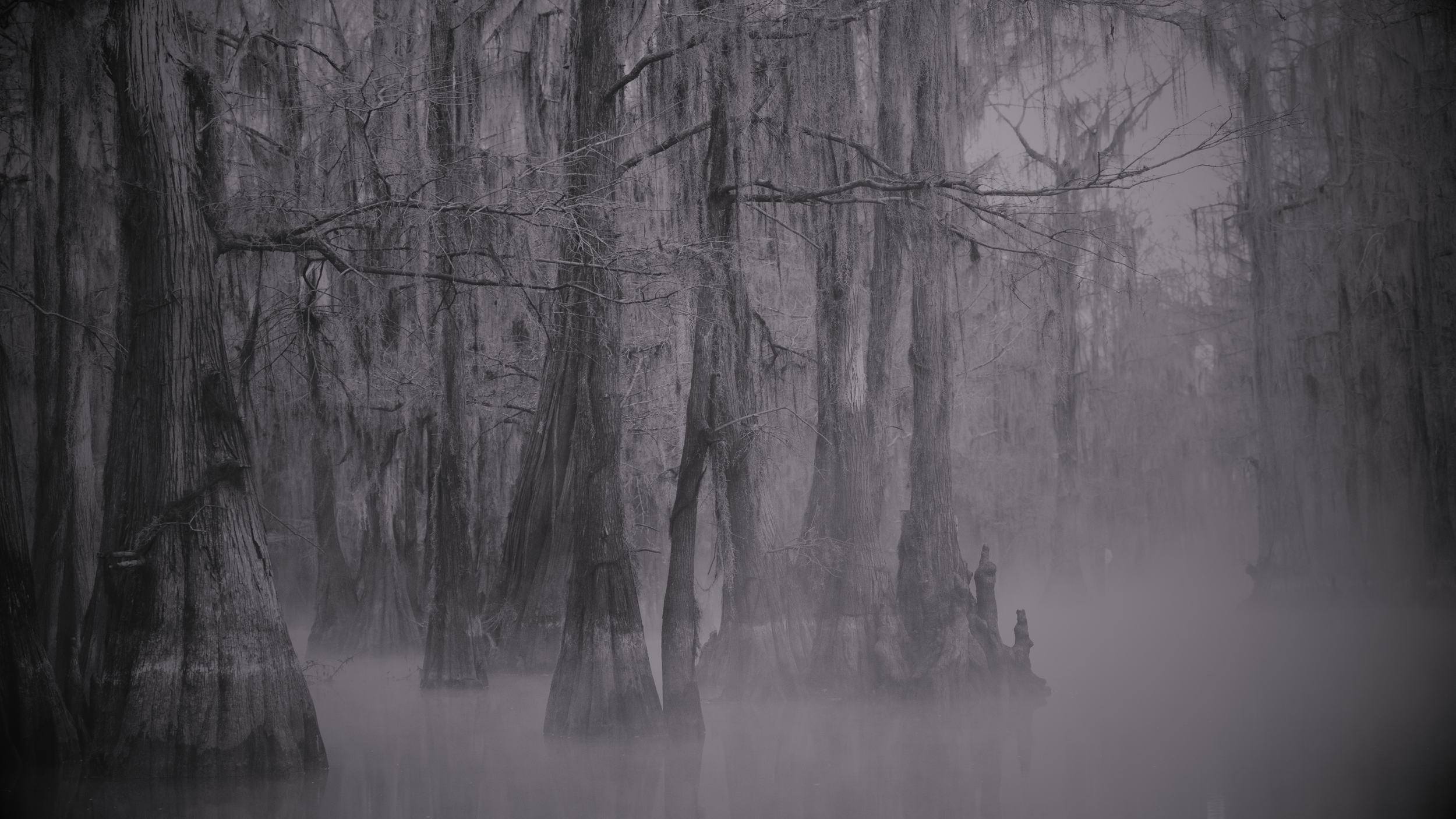 DesktopSwamp (1).png