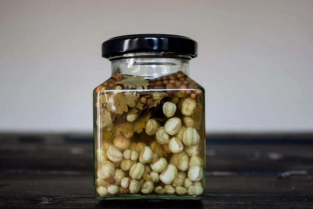 poor-mans-capers-nasturtium-pods-botanical-folk.jpg