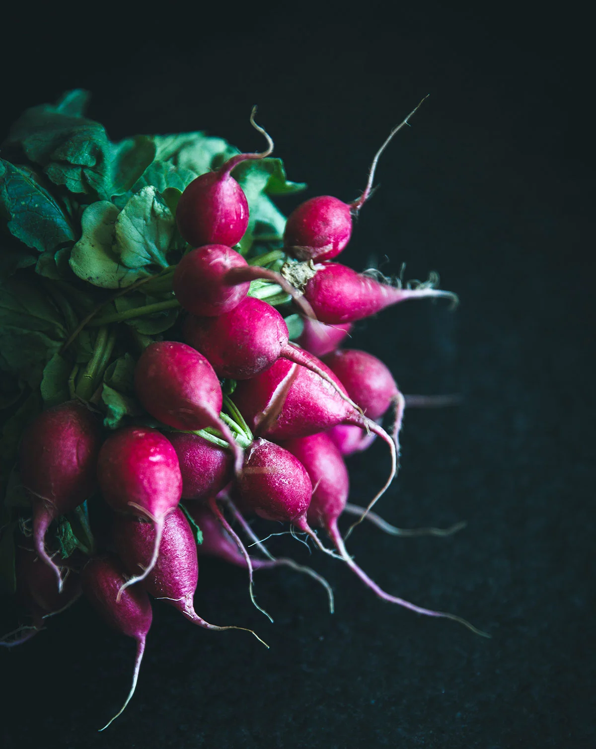 botanical-folk-lacto-fermented-radishes.jpg