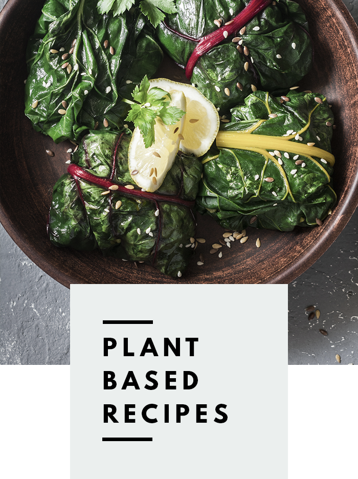 botanical-folk-plant-based-recipes.png