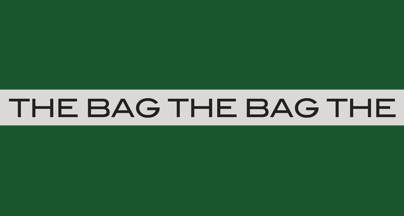 the bag 5.png