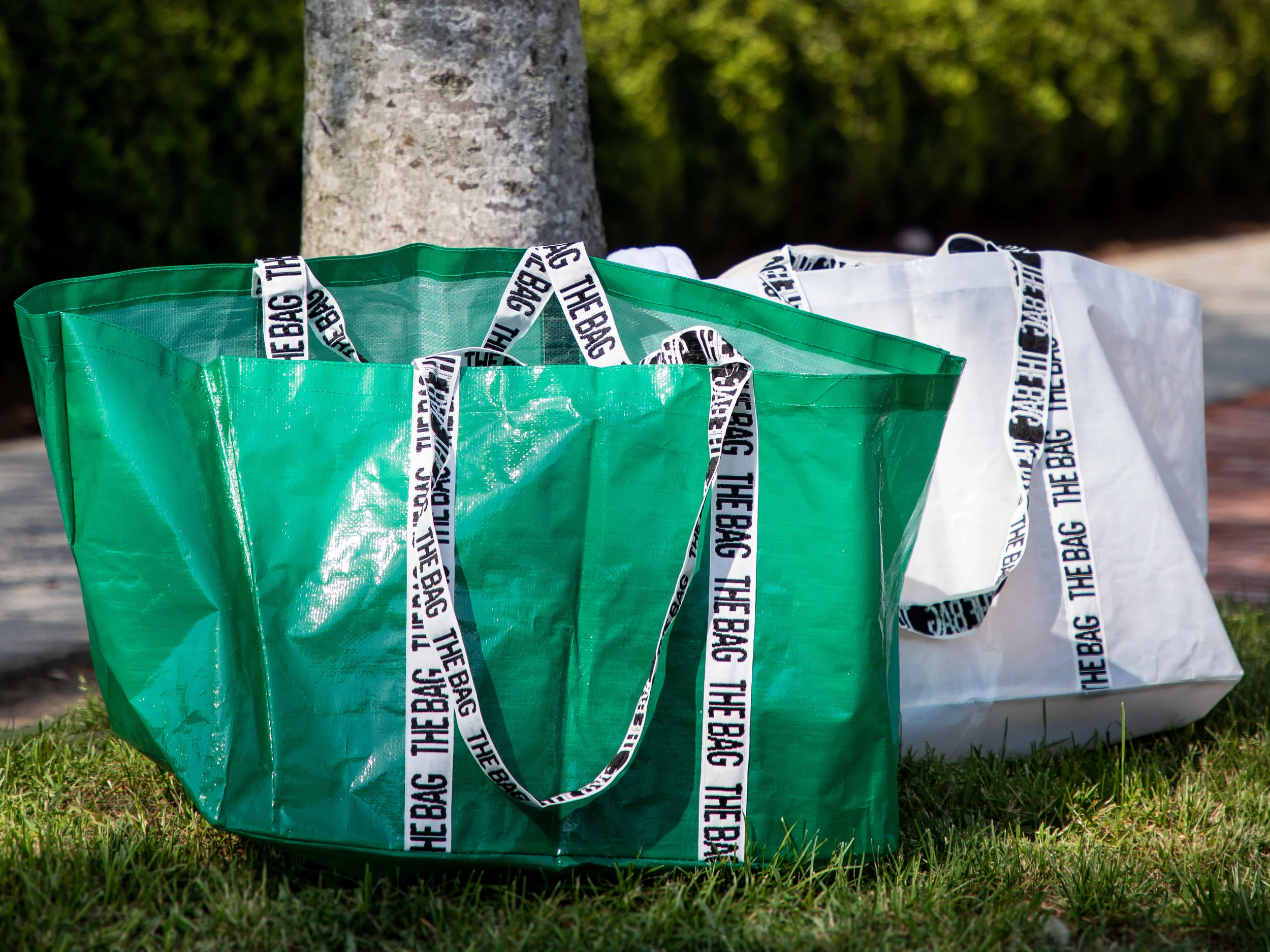 The Bag-125.jpg
