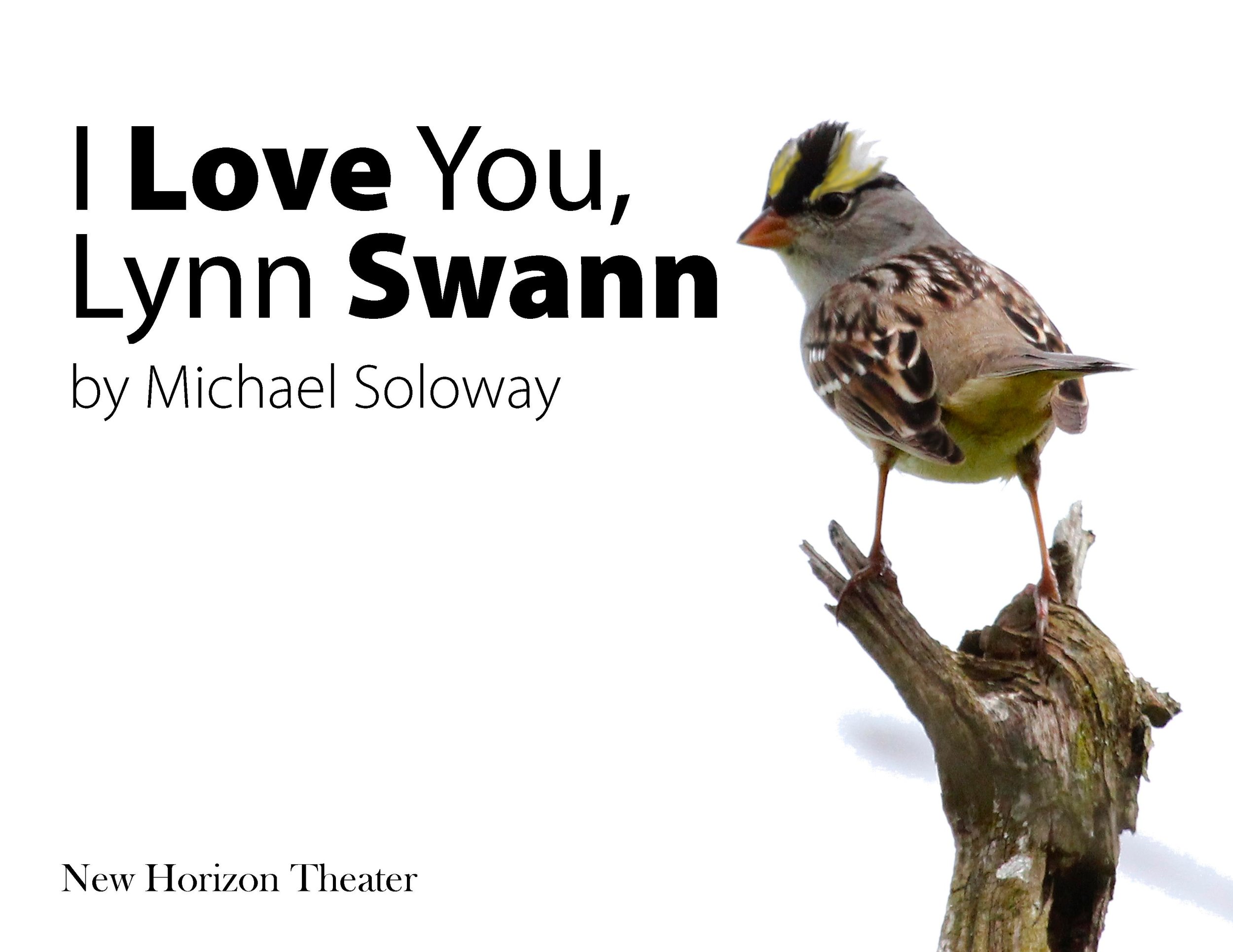 I Love You Lynn Swann Poster.jpg