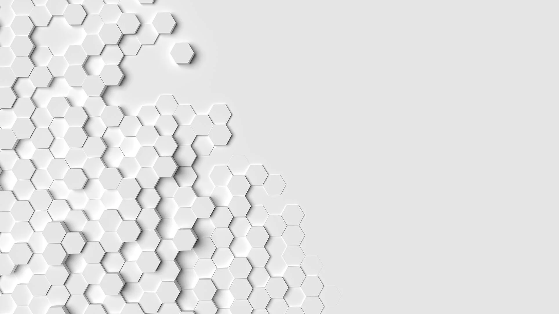 banner.jpg