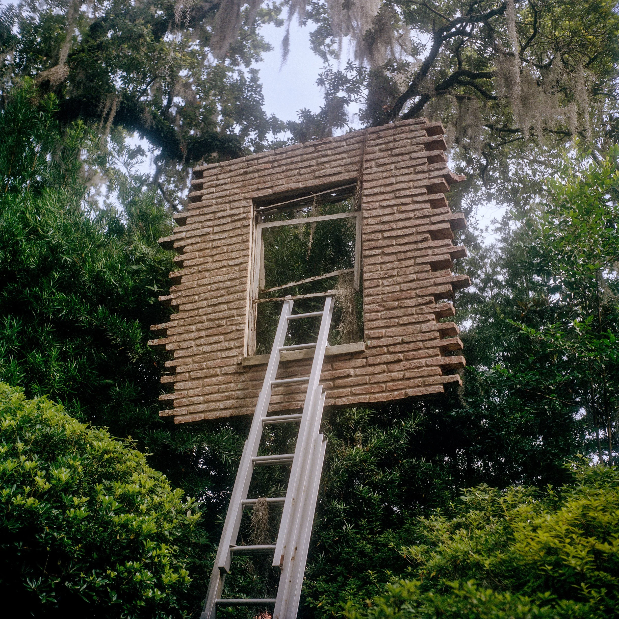 Ladder.jpg