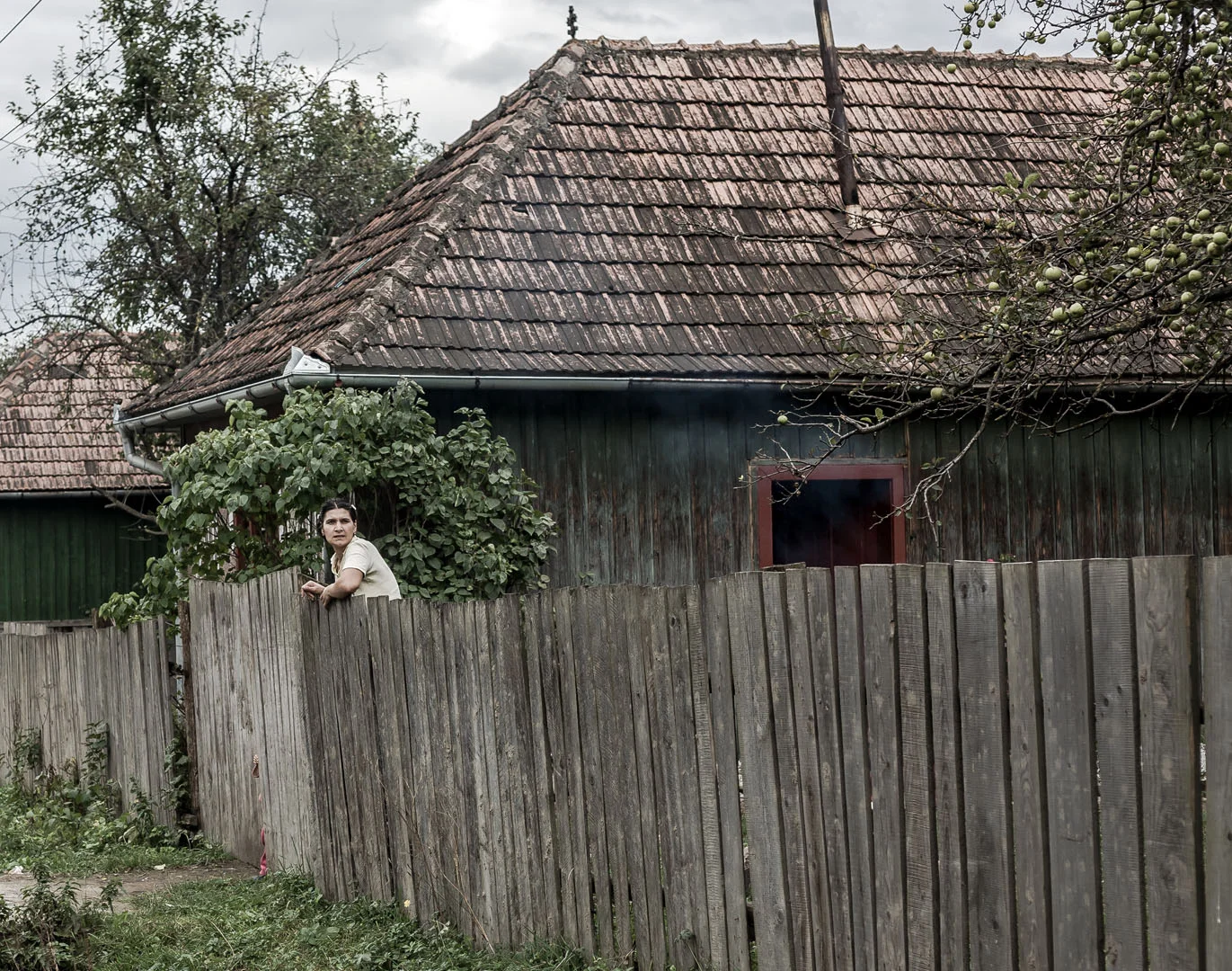 NH-projects-Transilvania-022.jpg