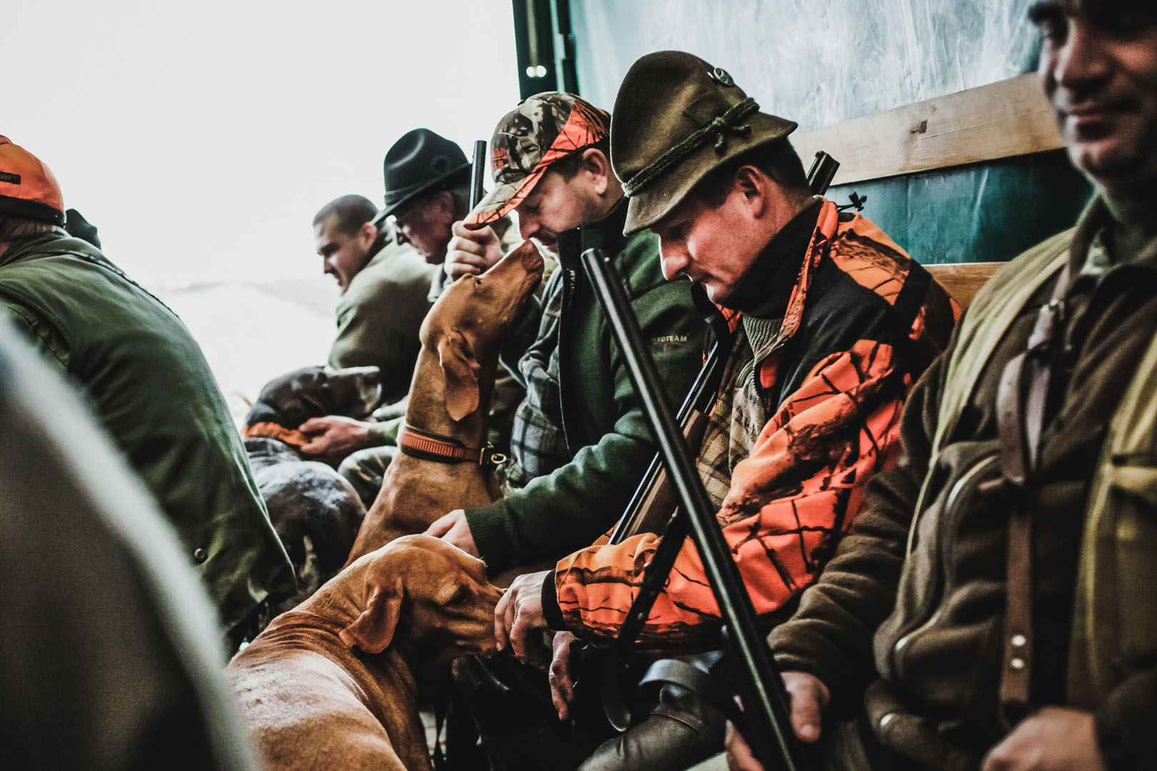 Hunters and their trained dogs become attuned to each other before the hunt.