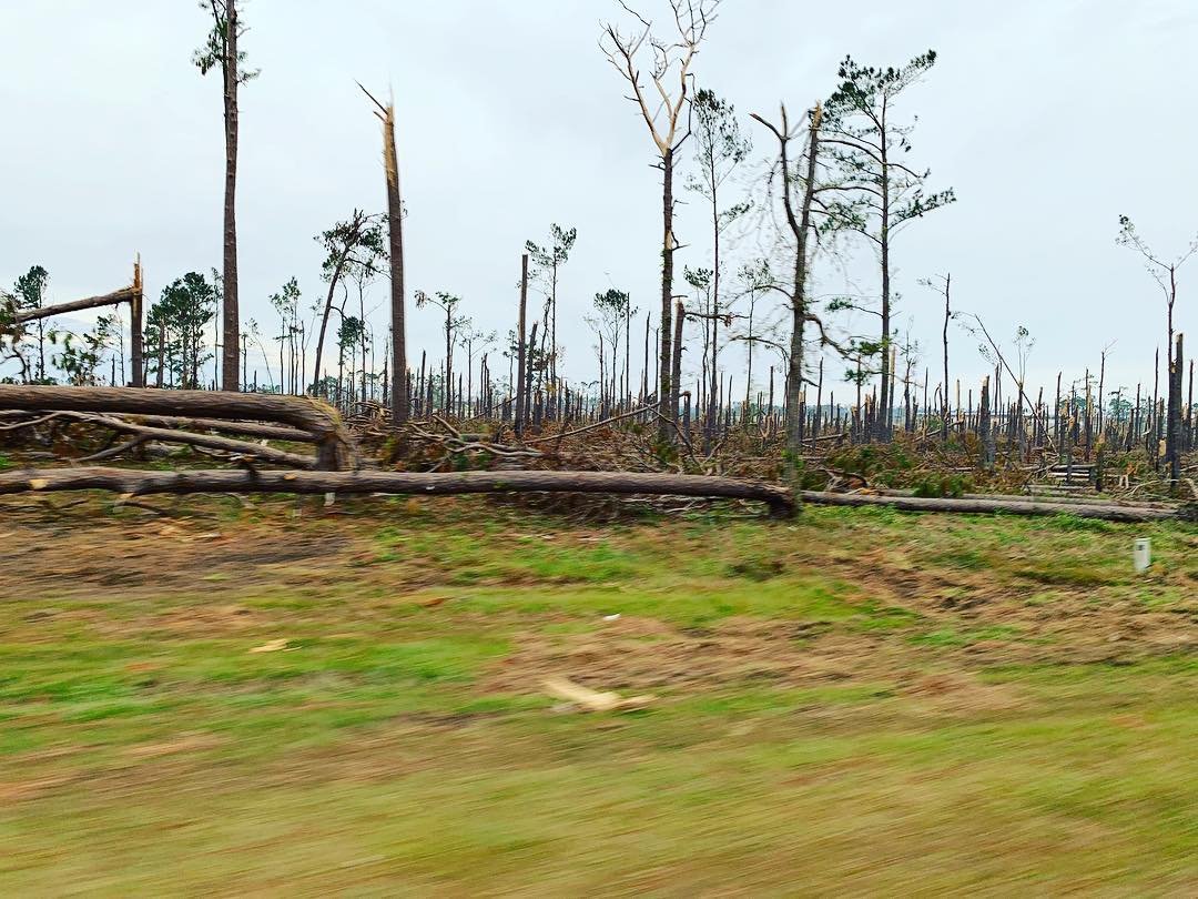 #hurricanemichael #prayforgeorgia #rebuildgeorgia #cleangeorgia