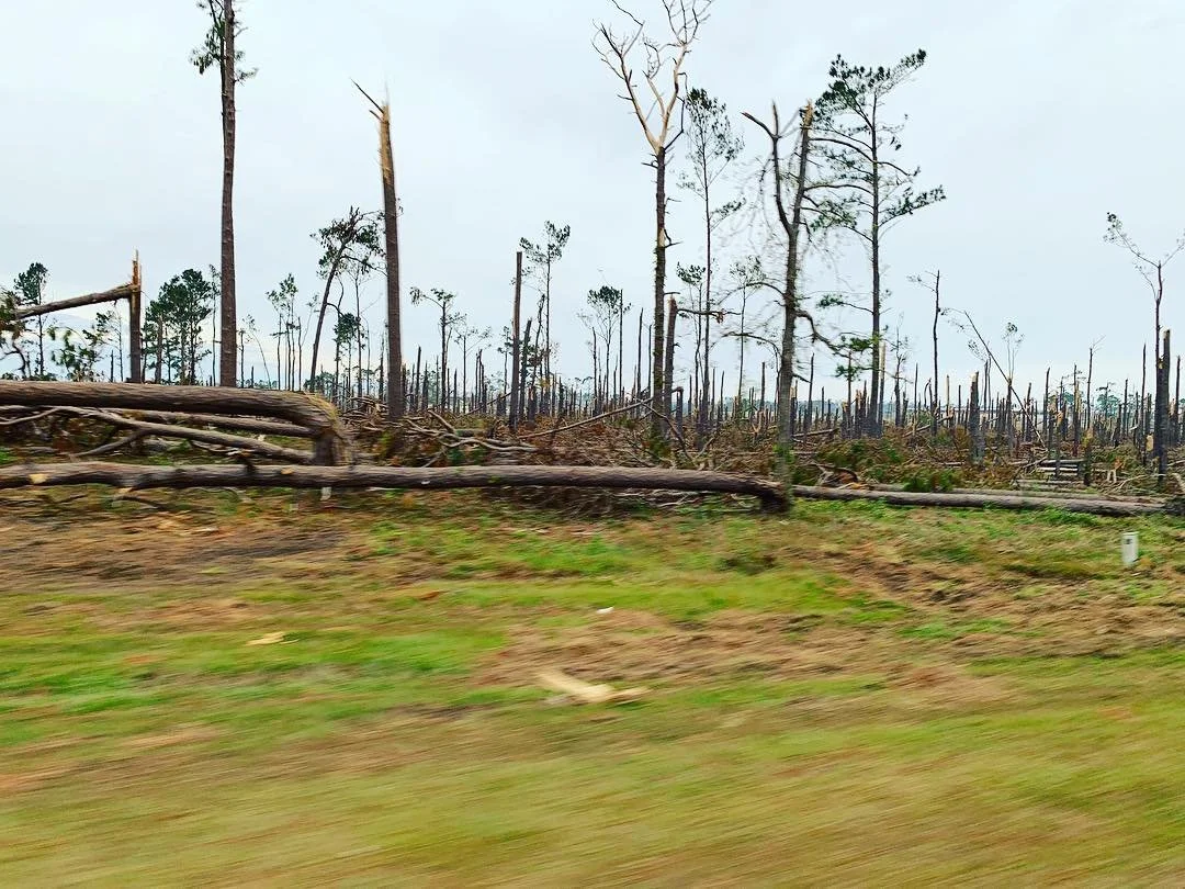 #hurricanemichael #prayforgeorgia #rebuildgeorgia #cleangeorgia