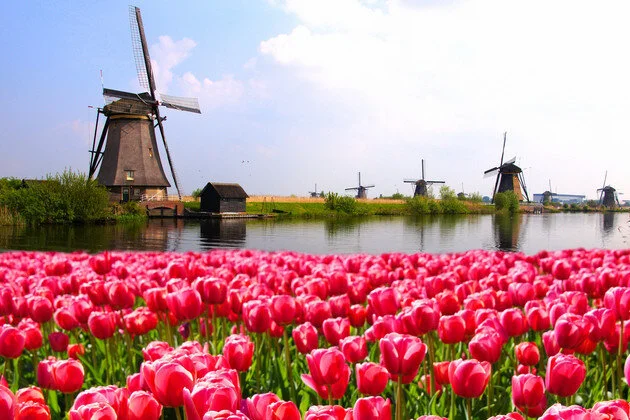 tulip-river-hero.jpg