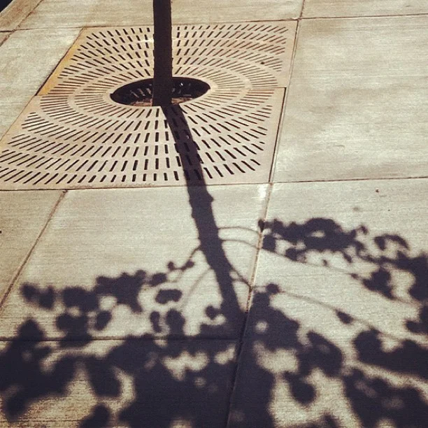 shadow.jpg