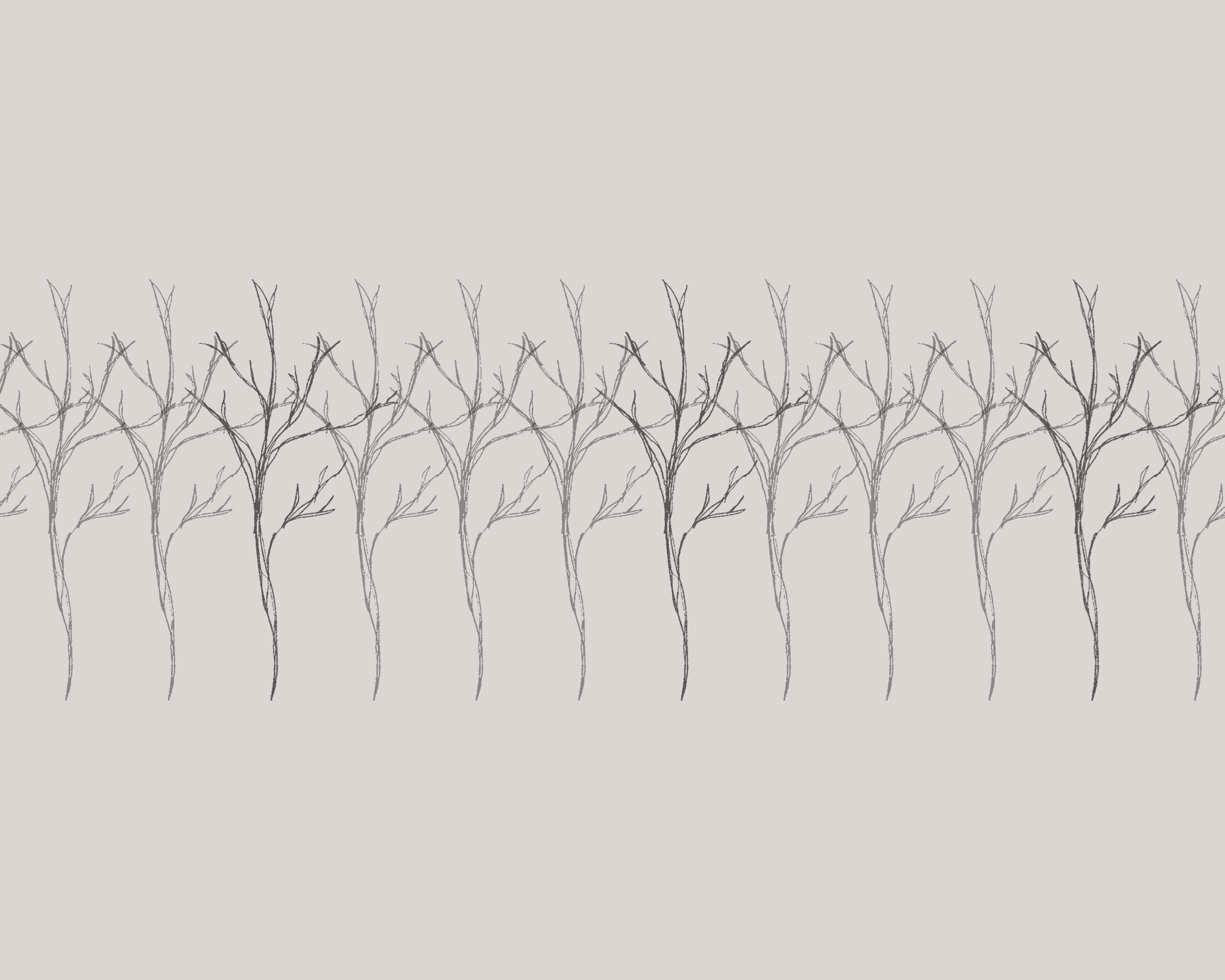 elizabethcarlton_stripe2indexed.png