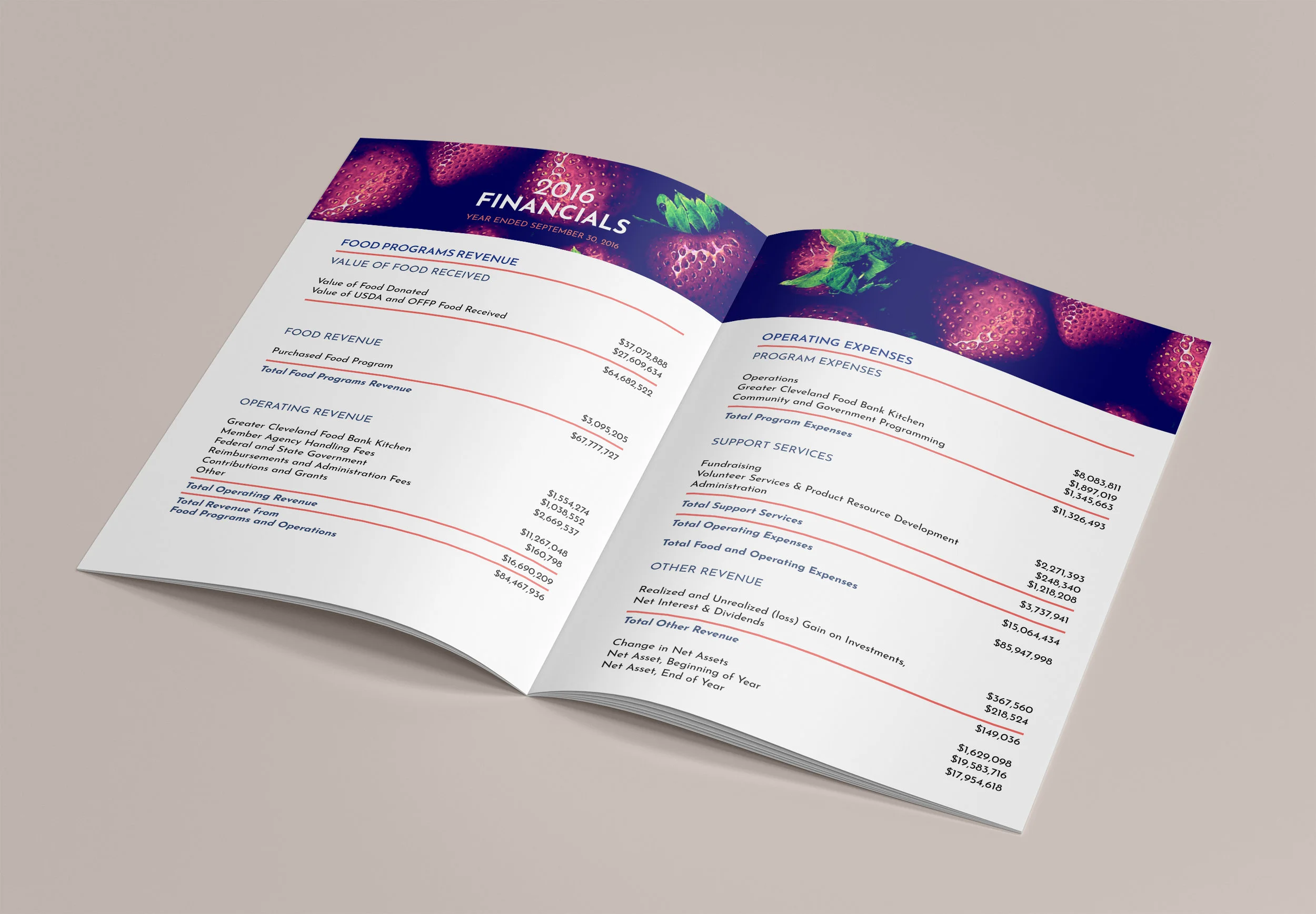 GCFB Annual Report