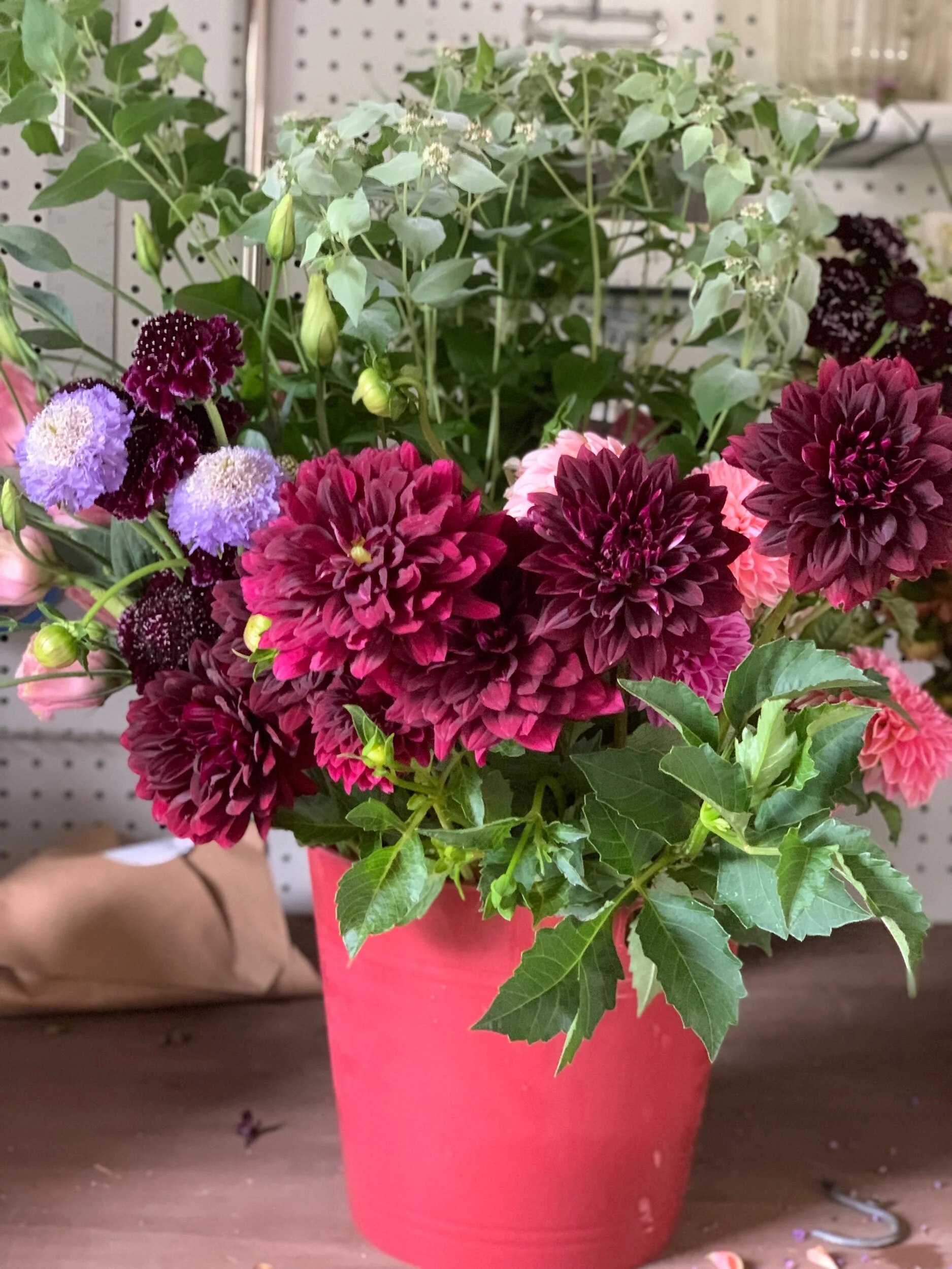 3533291B-2F56-4512-A8CA-34E1A56DCB2C