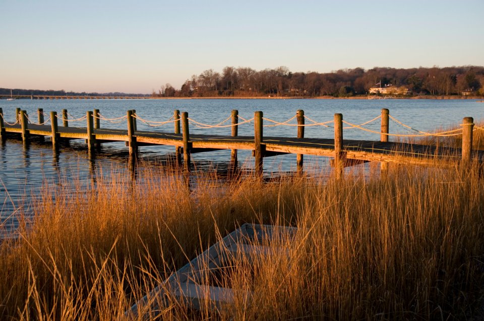 Yoga at Seven Arrows, NJ