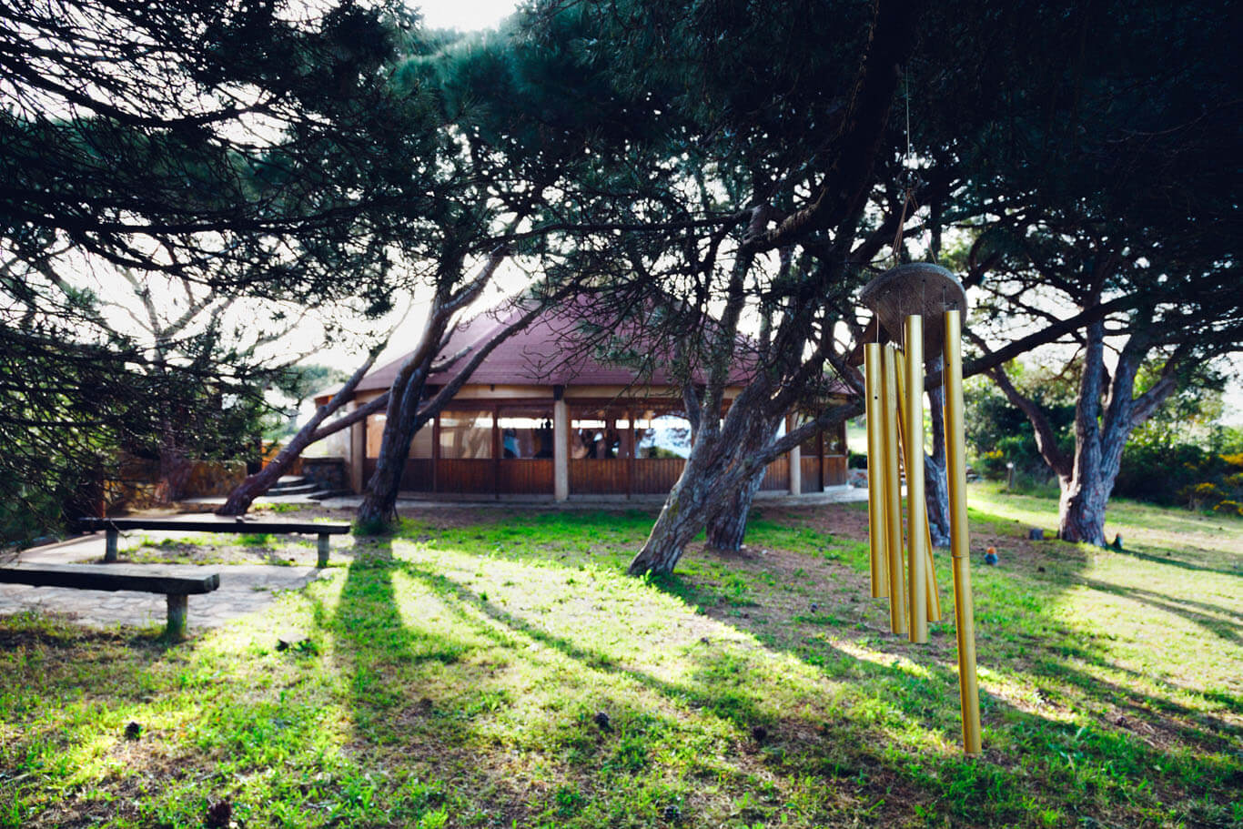 templo-pinhas-baix-resol.jpg