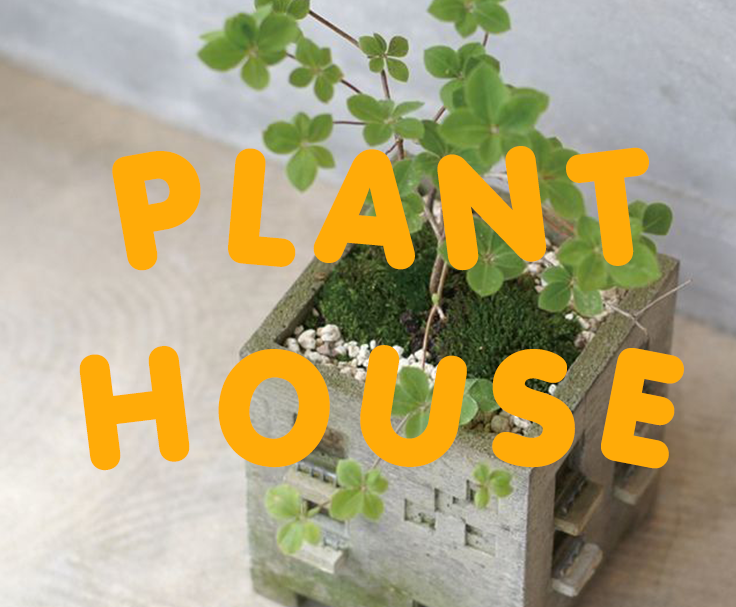 Plantscape