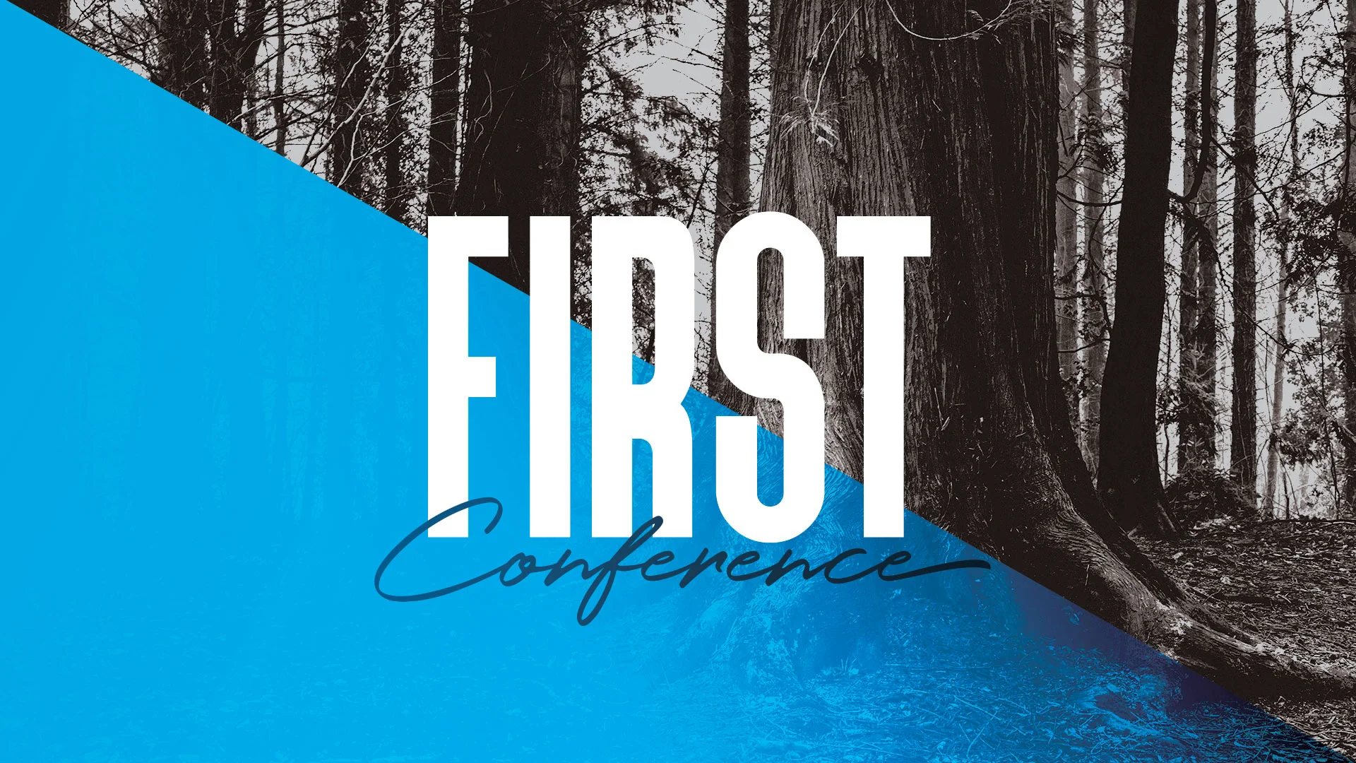 FIRST_Web-Banner.jpg