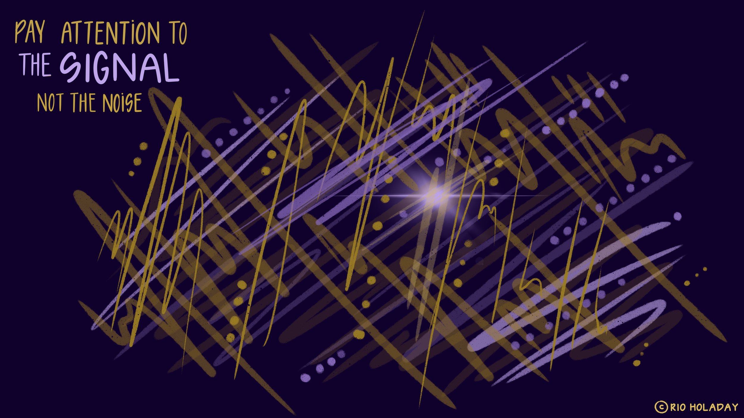 Signal__Noise_By_Rio_Holaday.jpg
