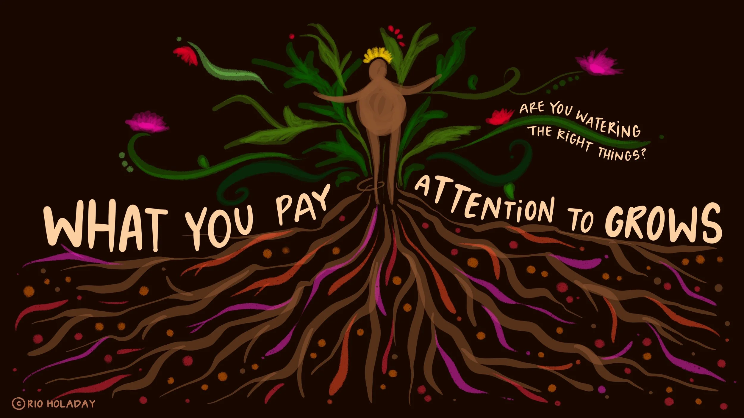 Attention__Grows_By_Rio_Holaday.jpg
