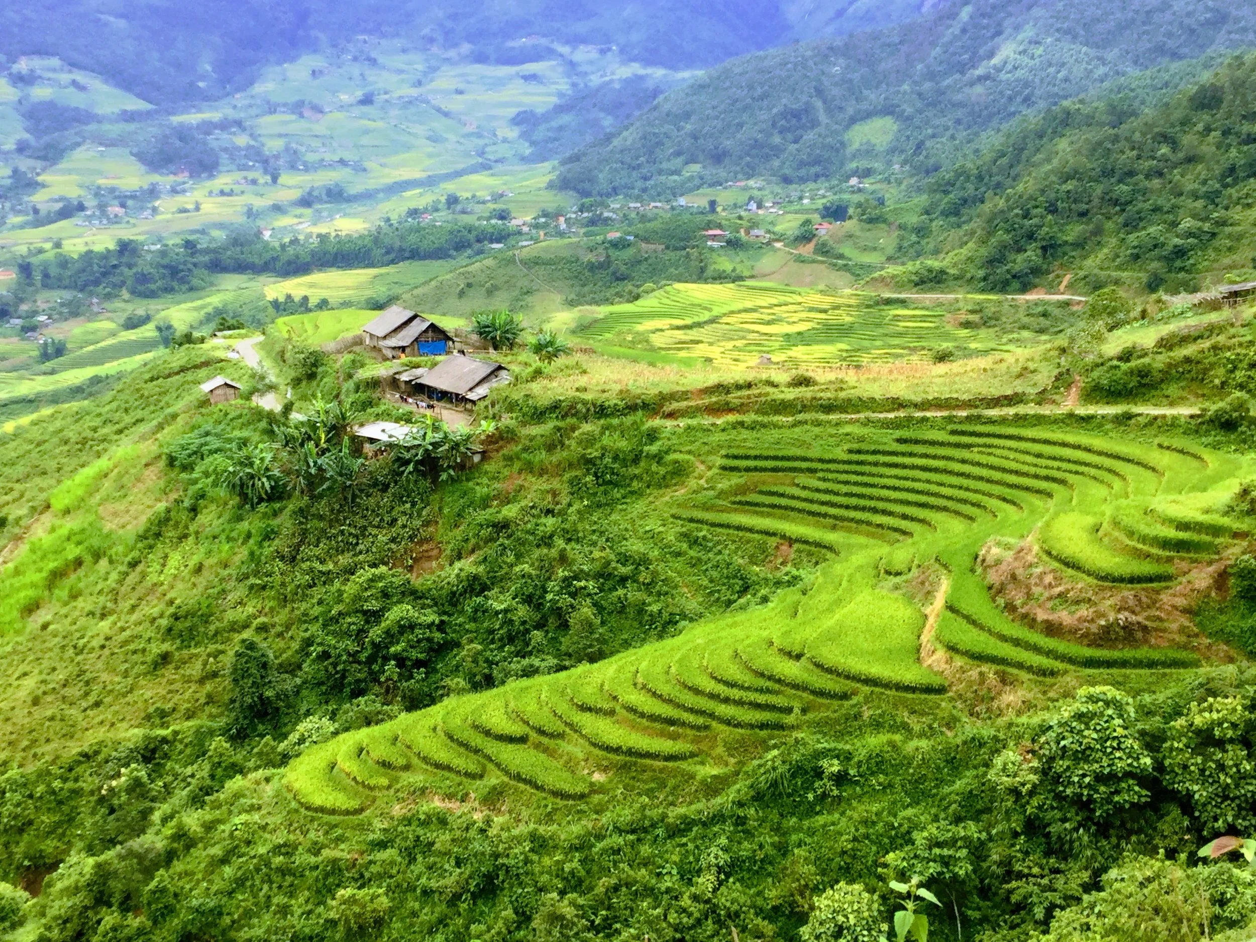 SAPA O’CHAU
