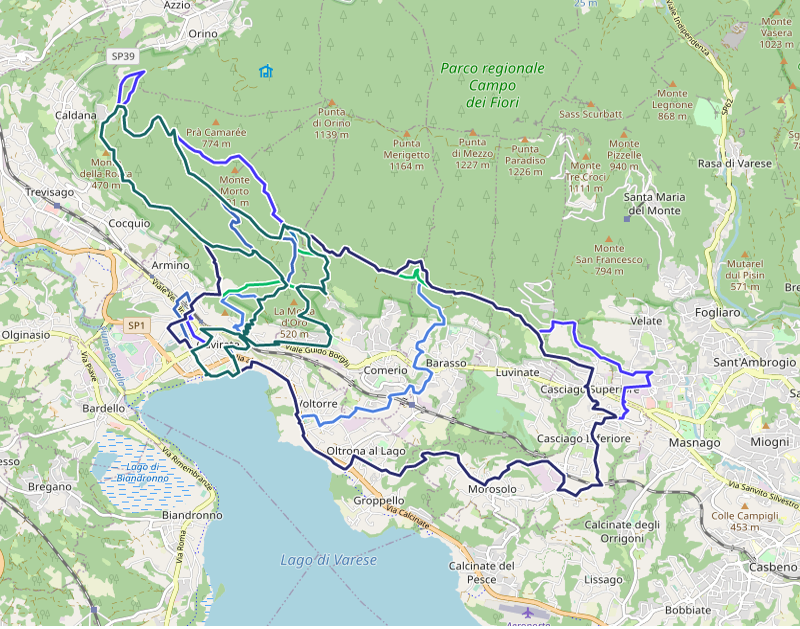 zona gavirate -CdF.png