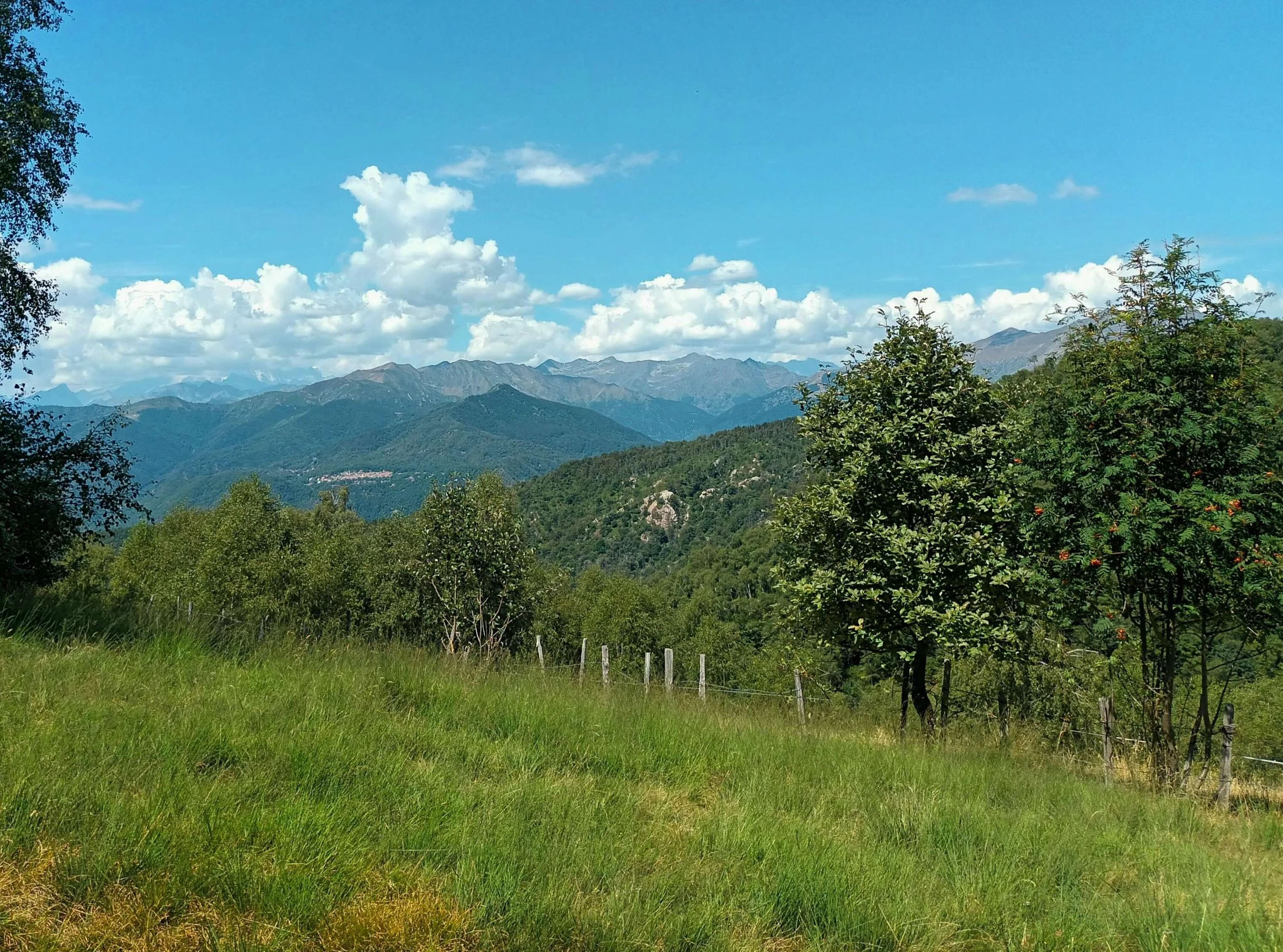 vista dalla cappella del crotano.jpg