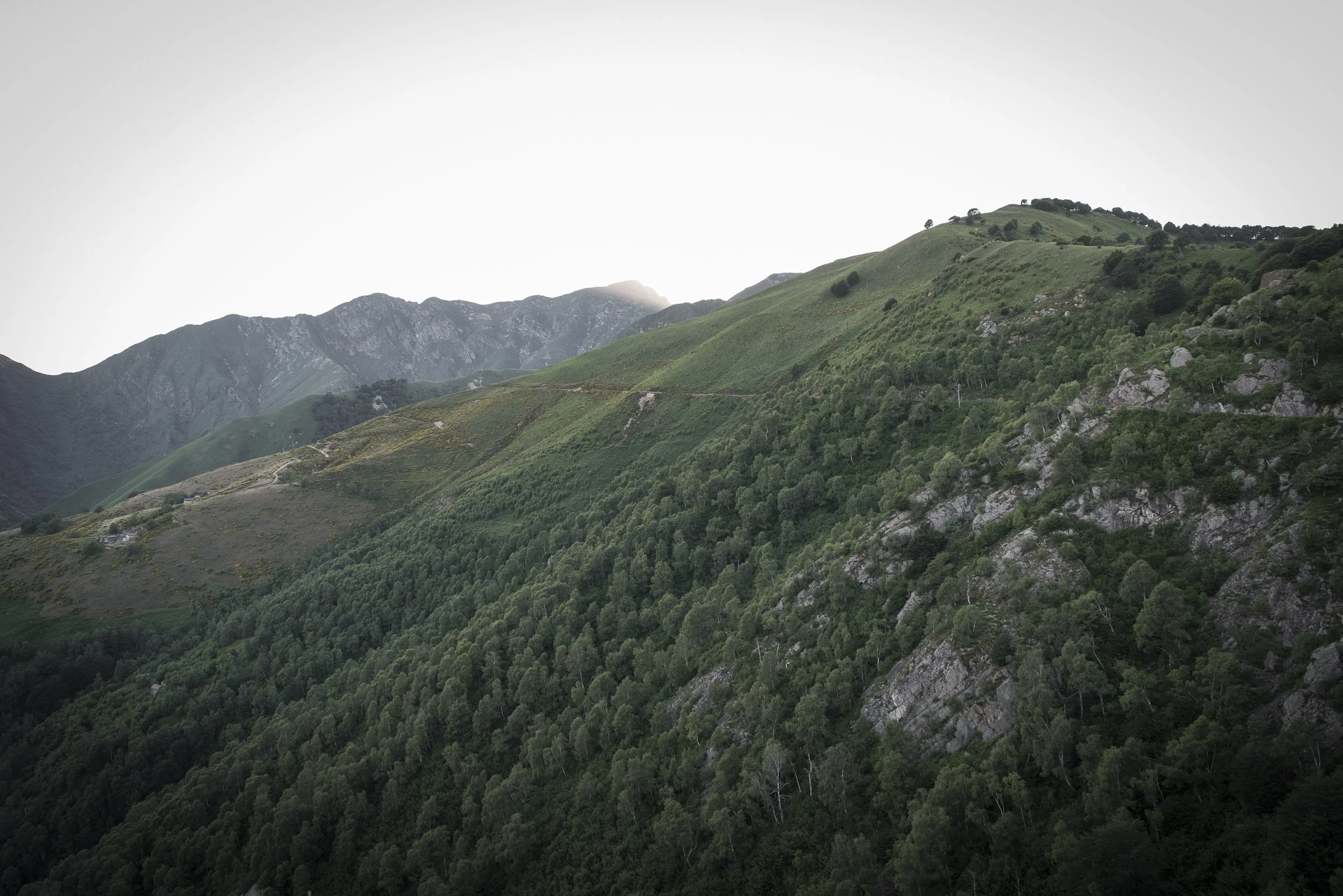 20180622_MTB_ARCHIA_LINEACADORNA_0068.jpeg