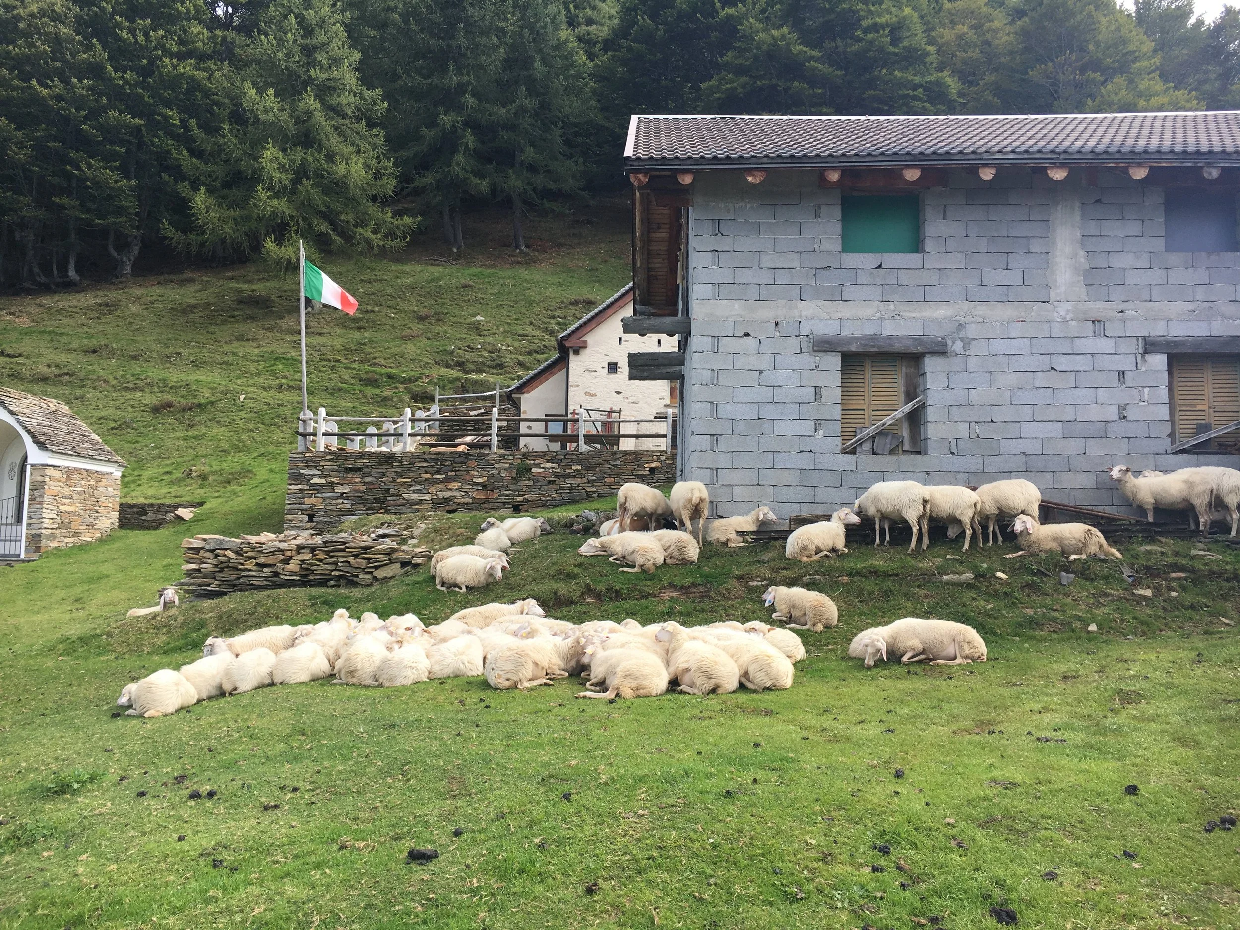 Valle Vigezzo MTB 3.JPG