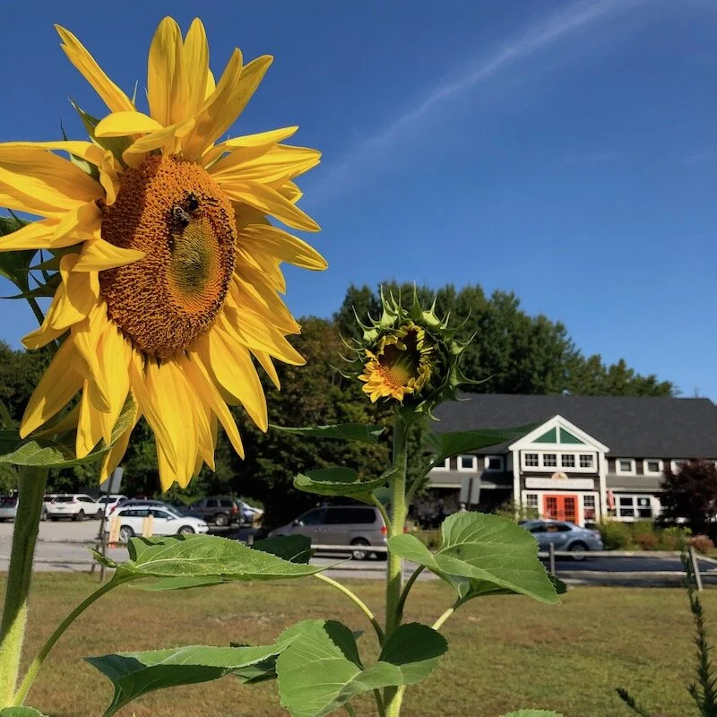 The Putney Food Coop