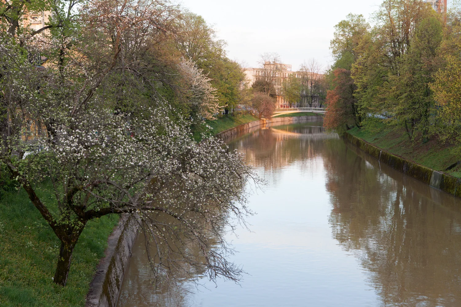 120401_0300.jpg