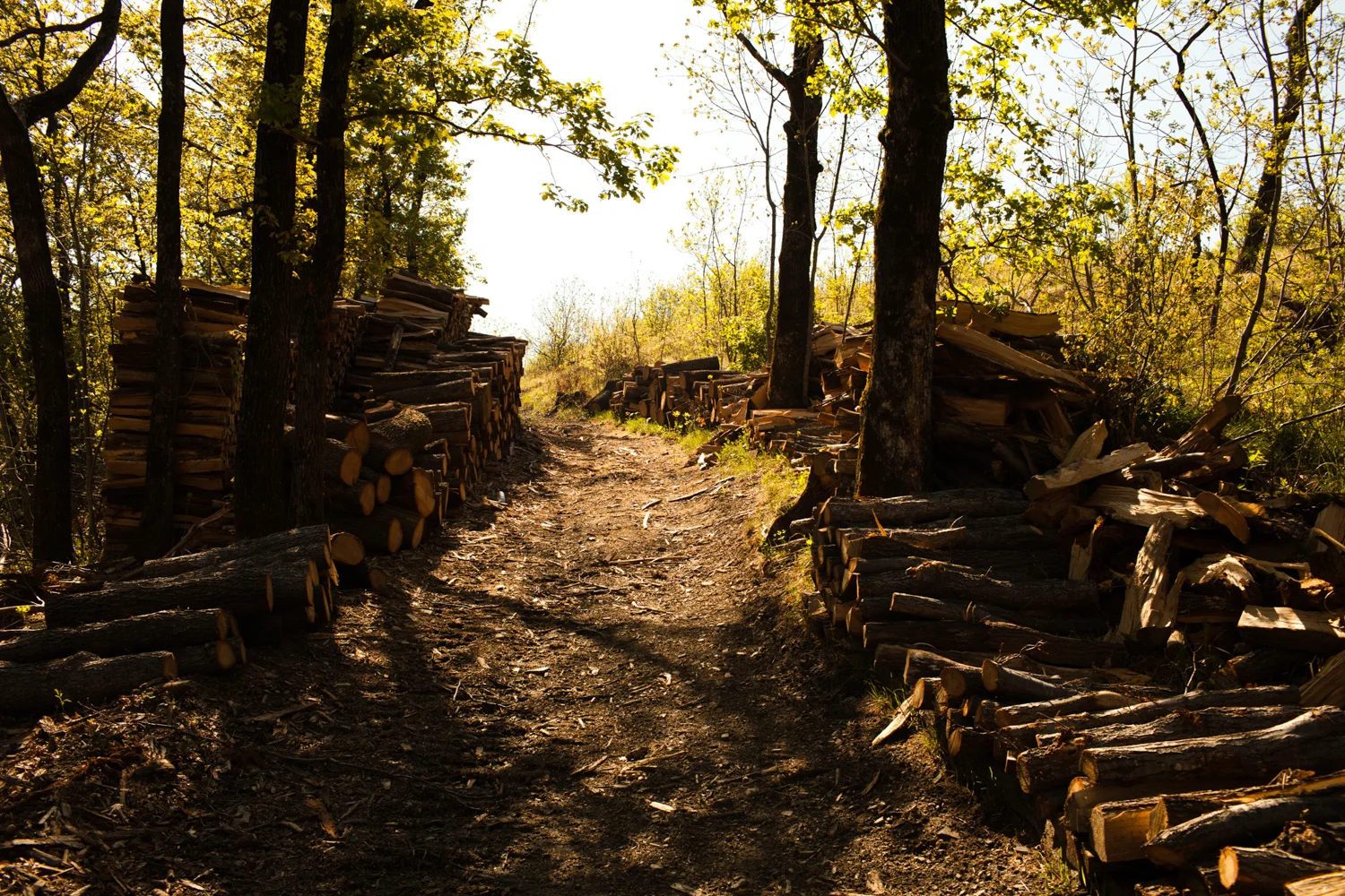 120401_0353.jpg