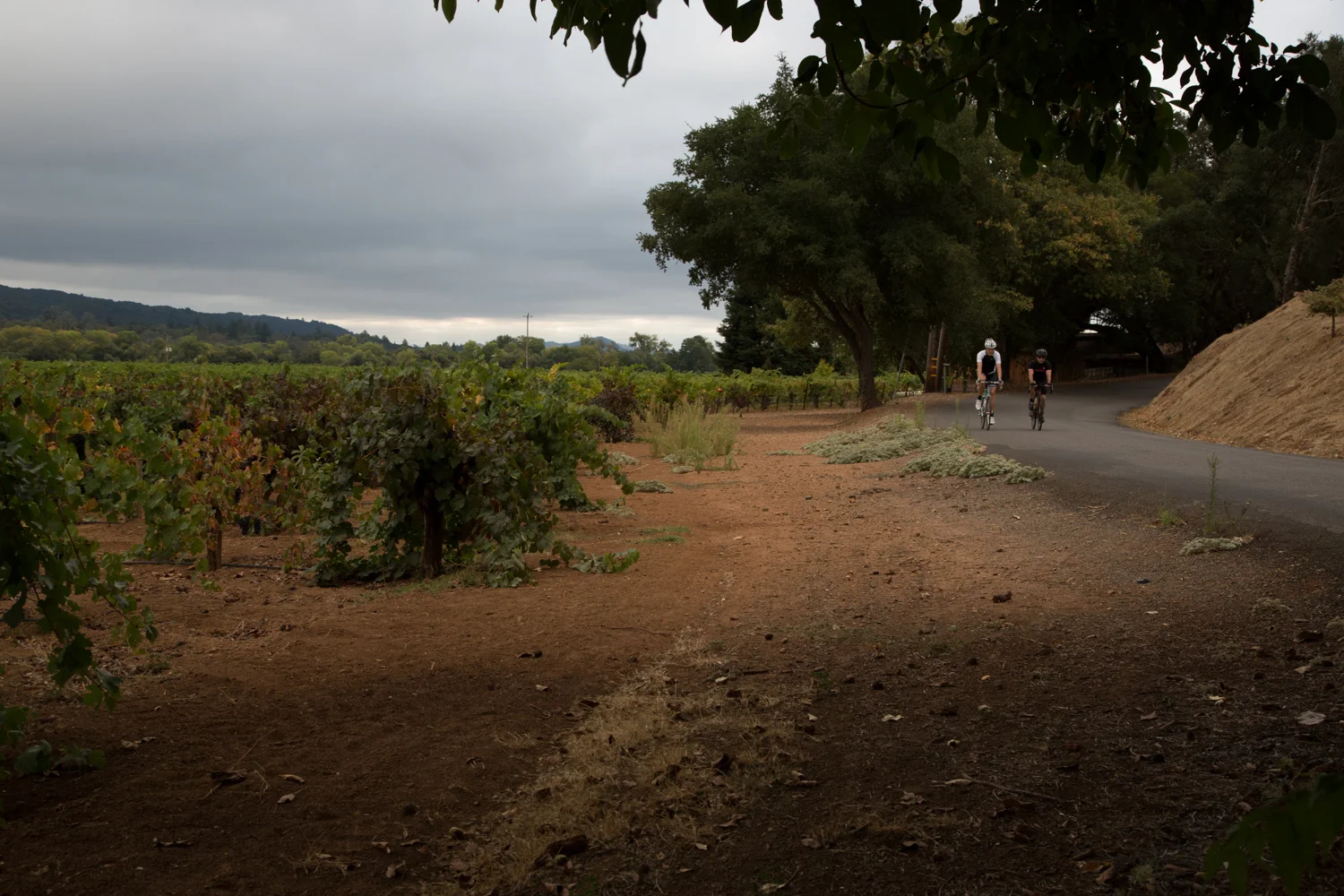 140921_039.jpg