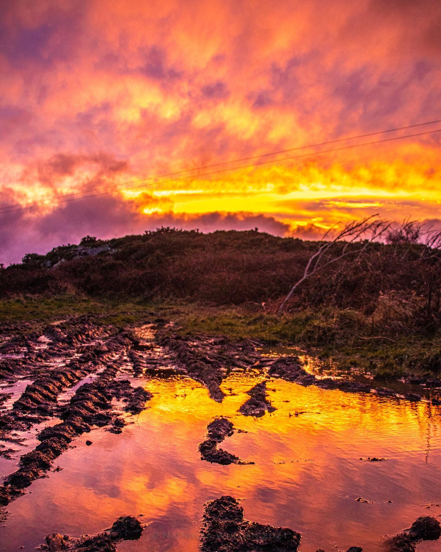 Beautiful Muddy Sunset 🌅 unbelievable skies this evening! #sunset #sunsetlover #epicskies #muddysunset #sunsetpics #rawireland #wicklowmountains #irishsunset #canonglobal #canon80d #canon18135stm #countryside #ruralireland #tourismireland #lovinirel