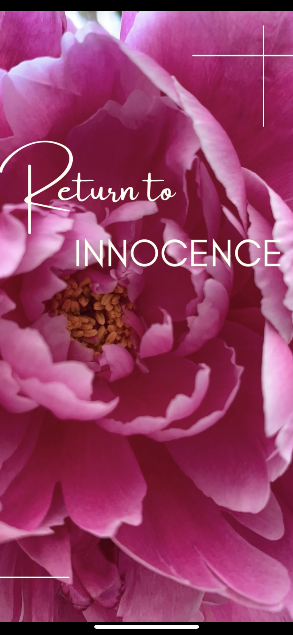 RETURN TO INNOCENCE ~  7 STEP JOURNEY