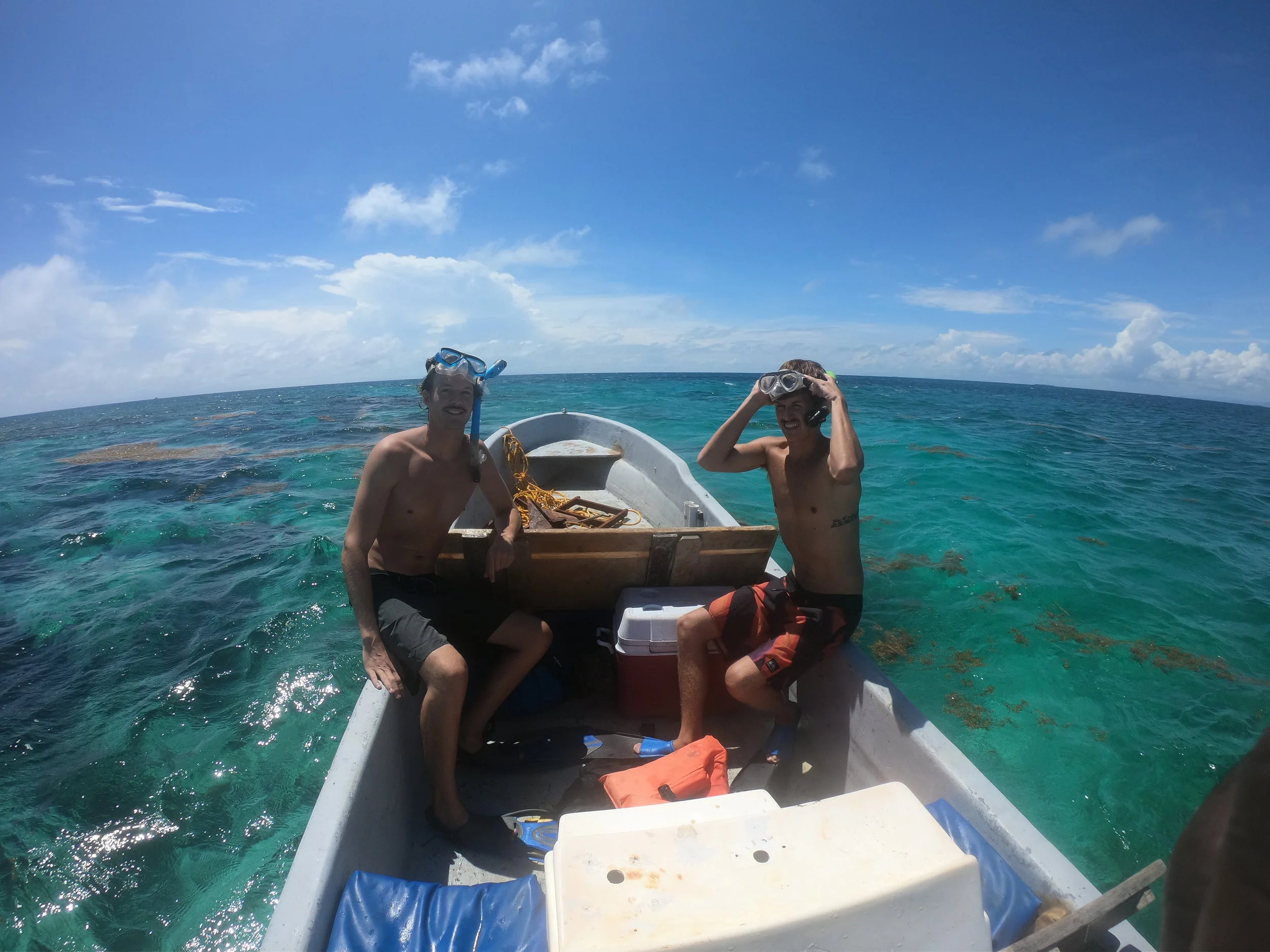 GPTempDownload 2.JPG