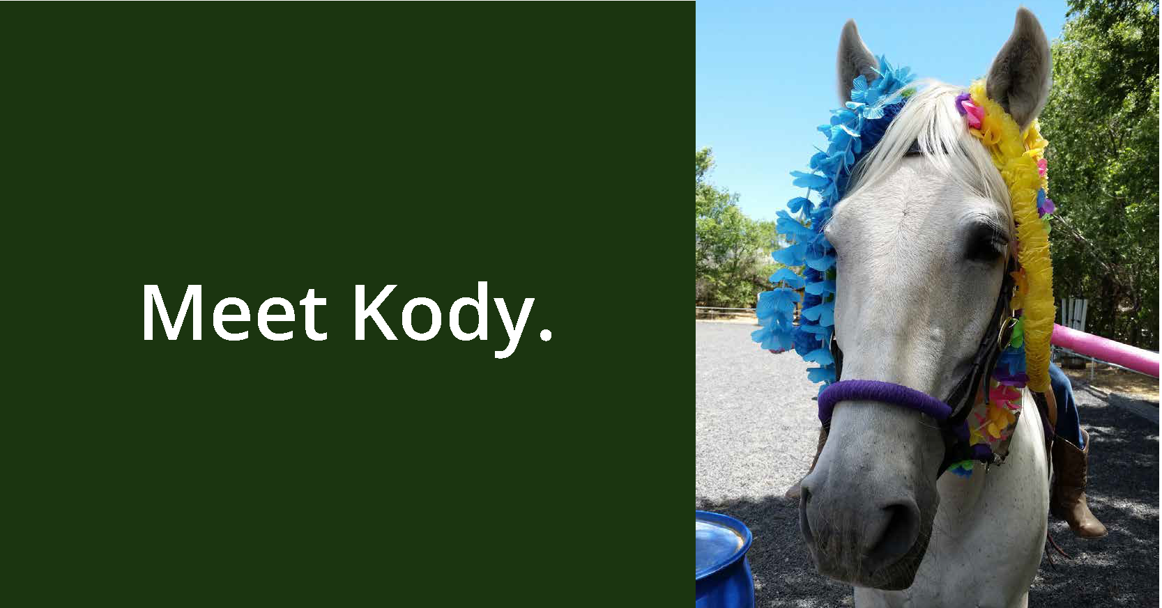 Meet Kody GIF_Page_1.png