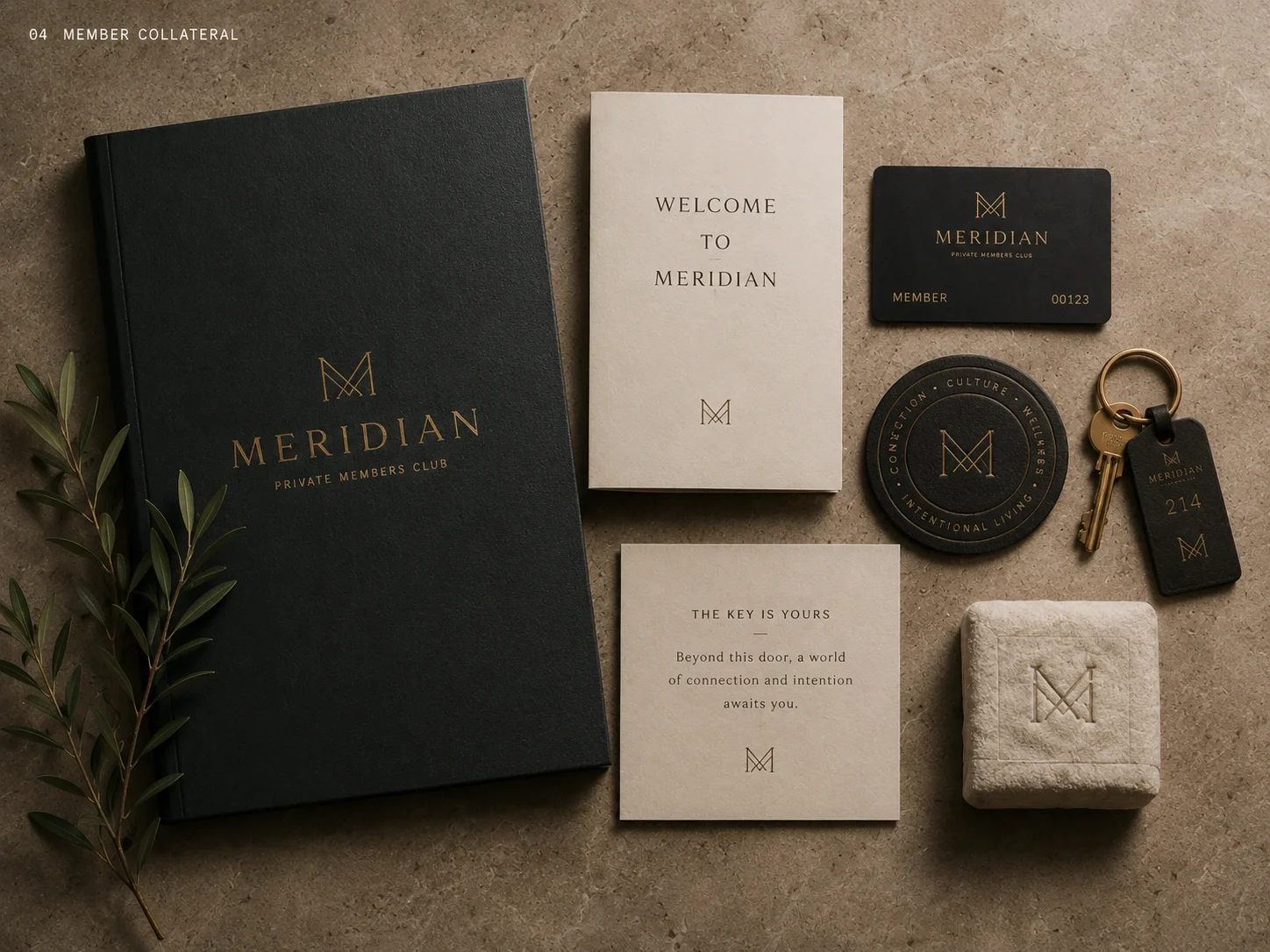 Meridian (Copy)