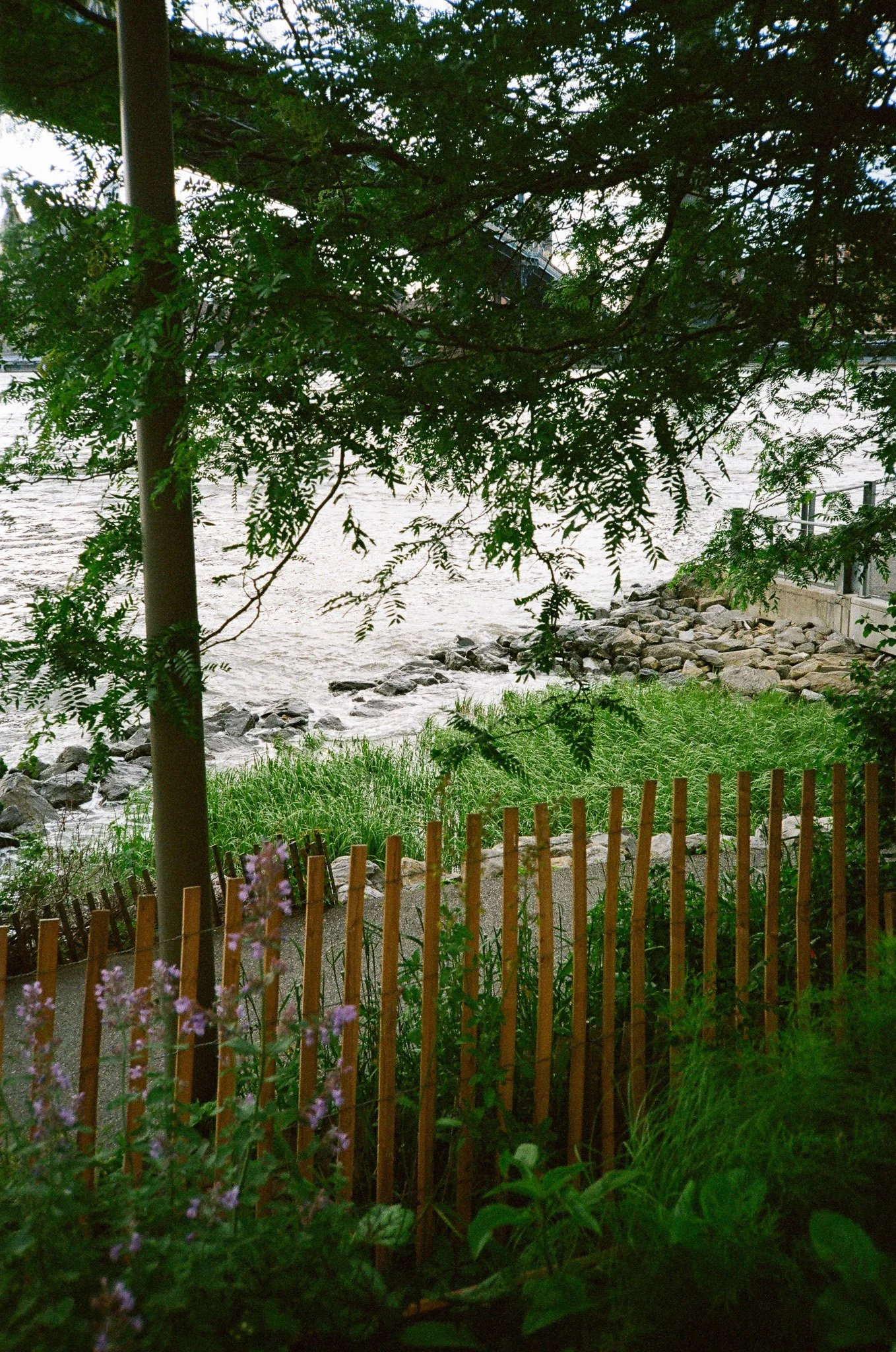 25590024.jpg