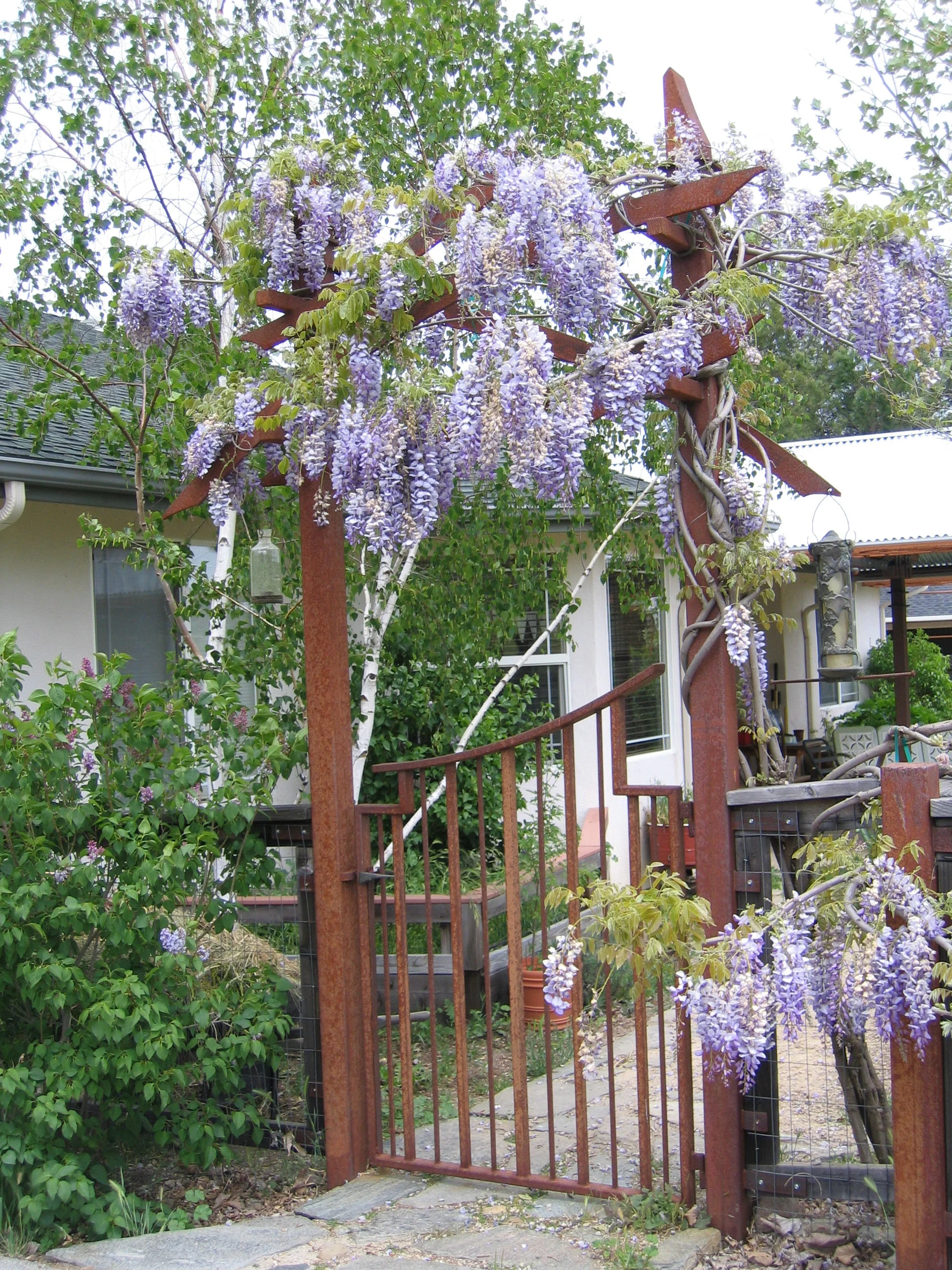 Garden Gate with Trellis - David L Curry Design