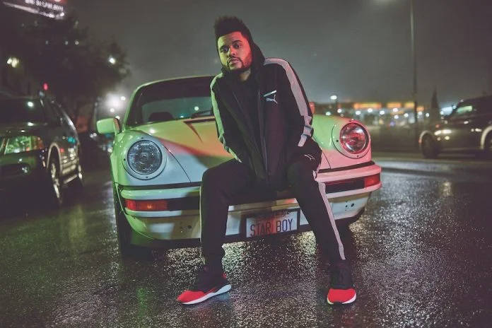 puma-tsugi-shinsei-nido-696x464.jpg