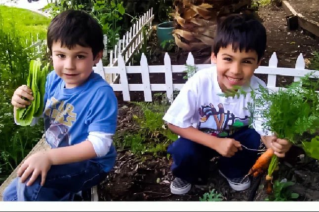 kids in the garden.jpg