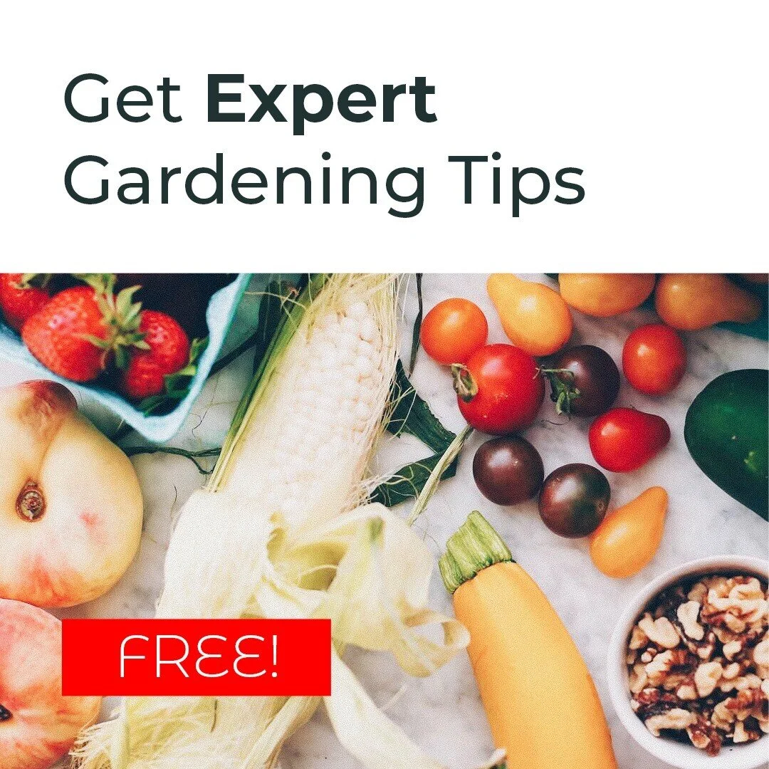 Get expert tips for growing the BEST Tomatoes, Peppers, Zucchini, Eggplant, Cucumber and MORE!

https://www.facebook.com/events/866341967283191

Learn about container gardens, Raised beds, and even indoor gardening advice. StartOrganic is the NUMBER 